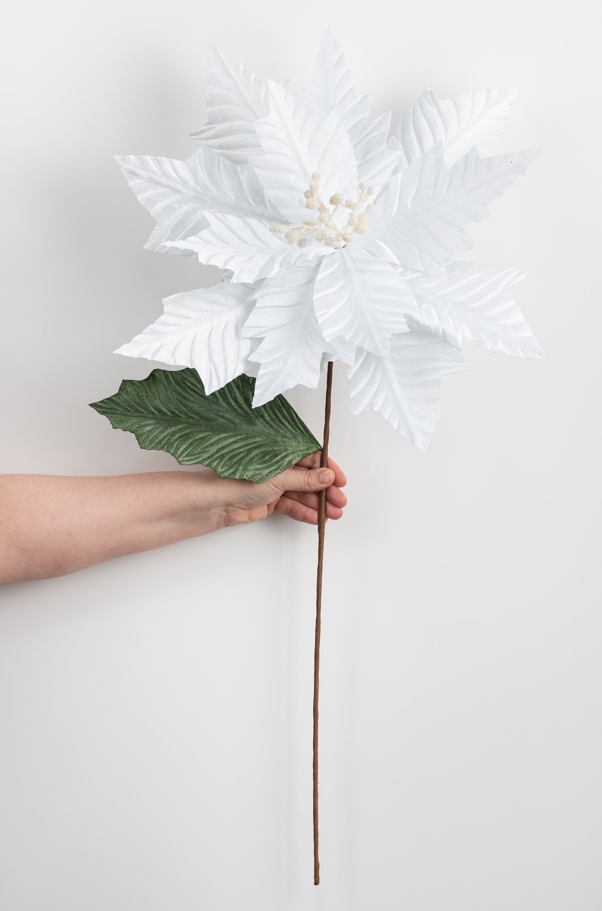 24" Jumbo Poinsettia Stem: White detail photo 3