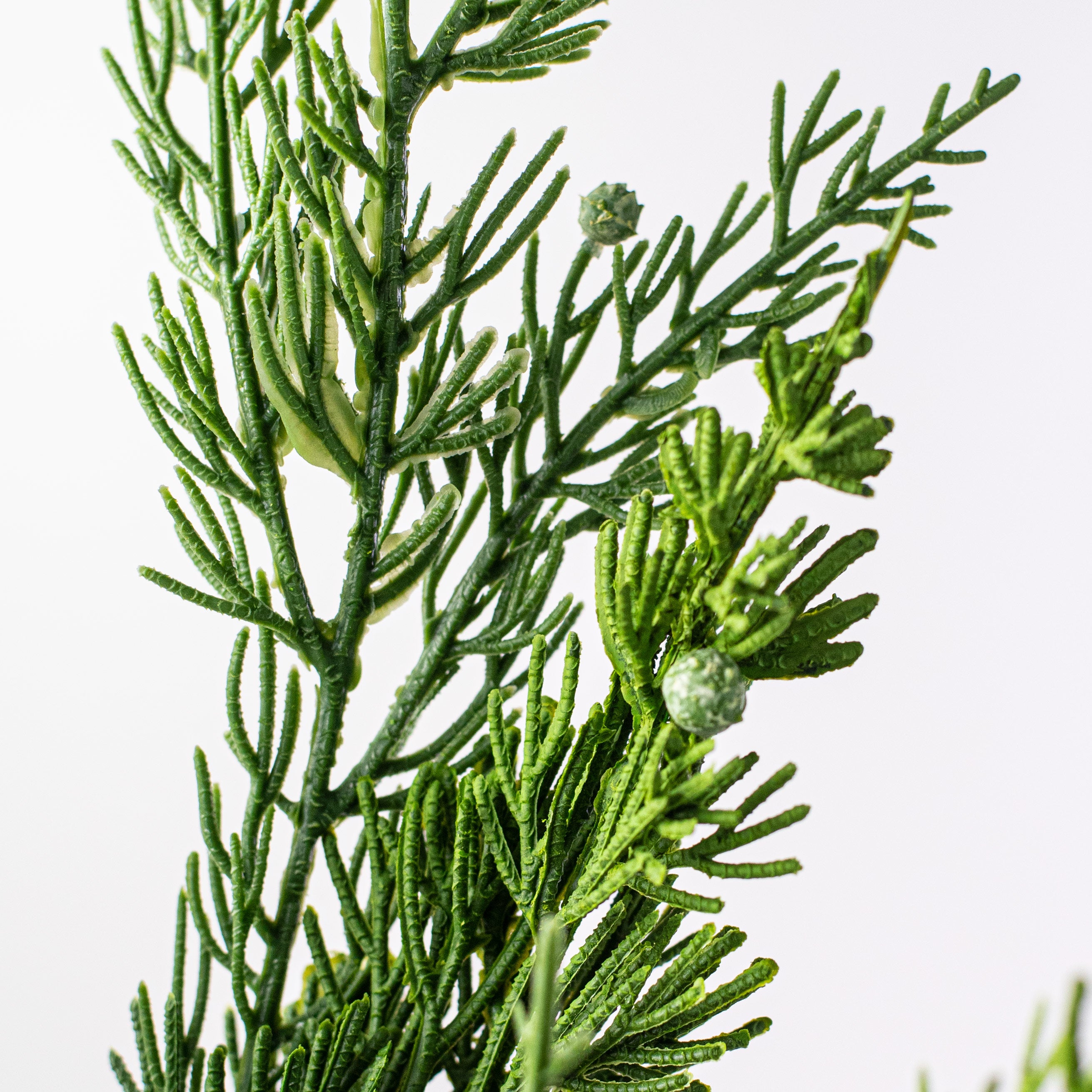 22" Juniper Evergreen Pine Spray: Green Lifestyle Photo