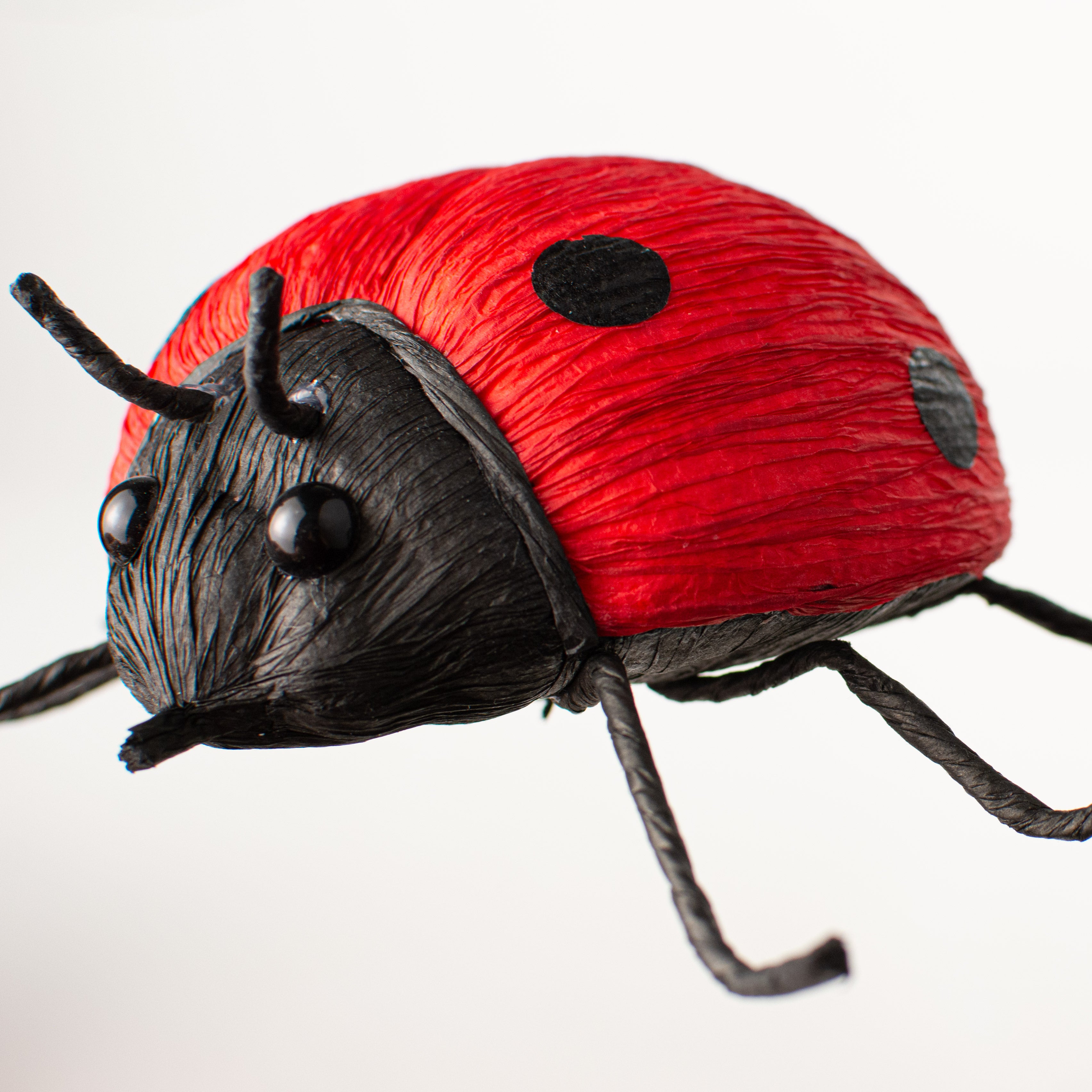 6" Ladybug With Legs detail photo 3