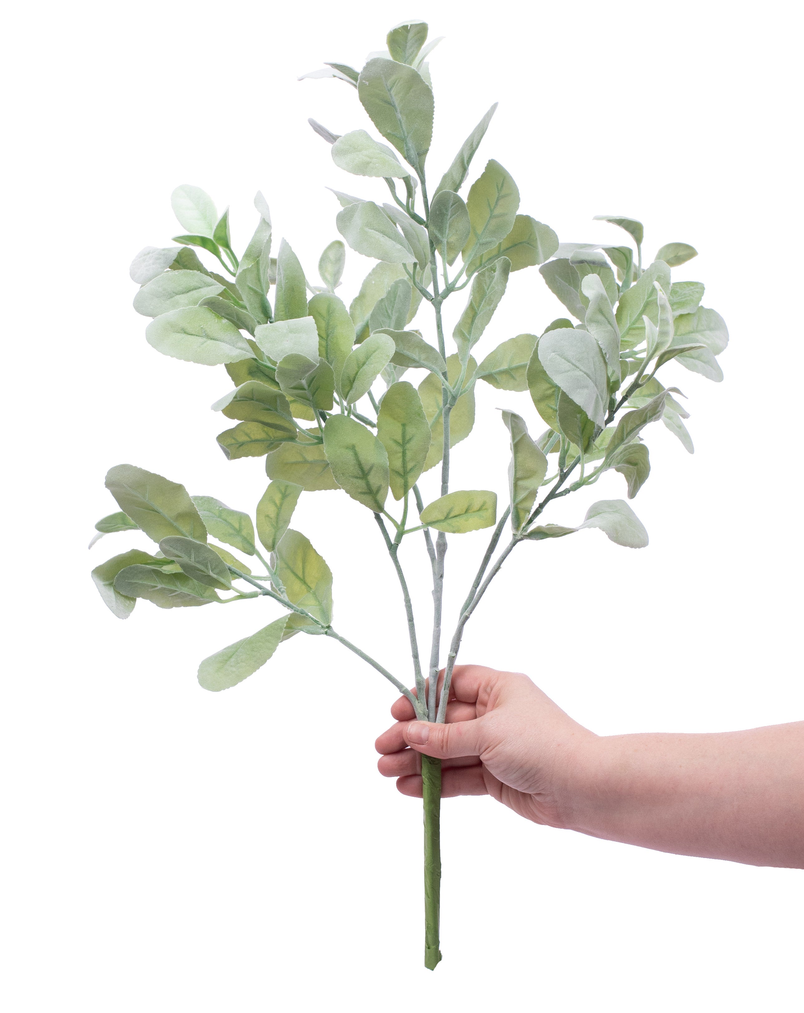 23" Lamb's Ear Bush Lifestyle Photo