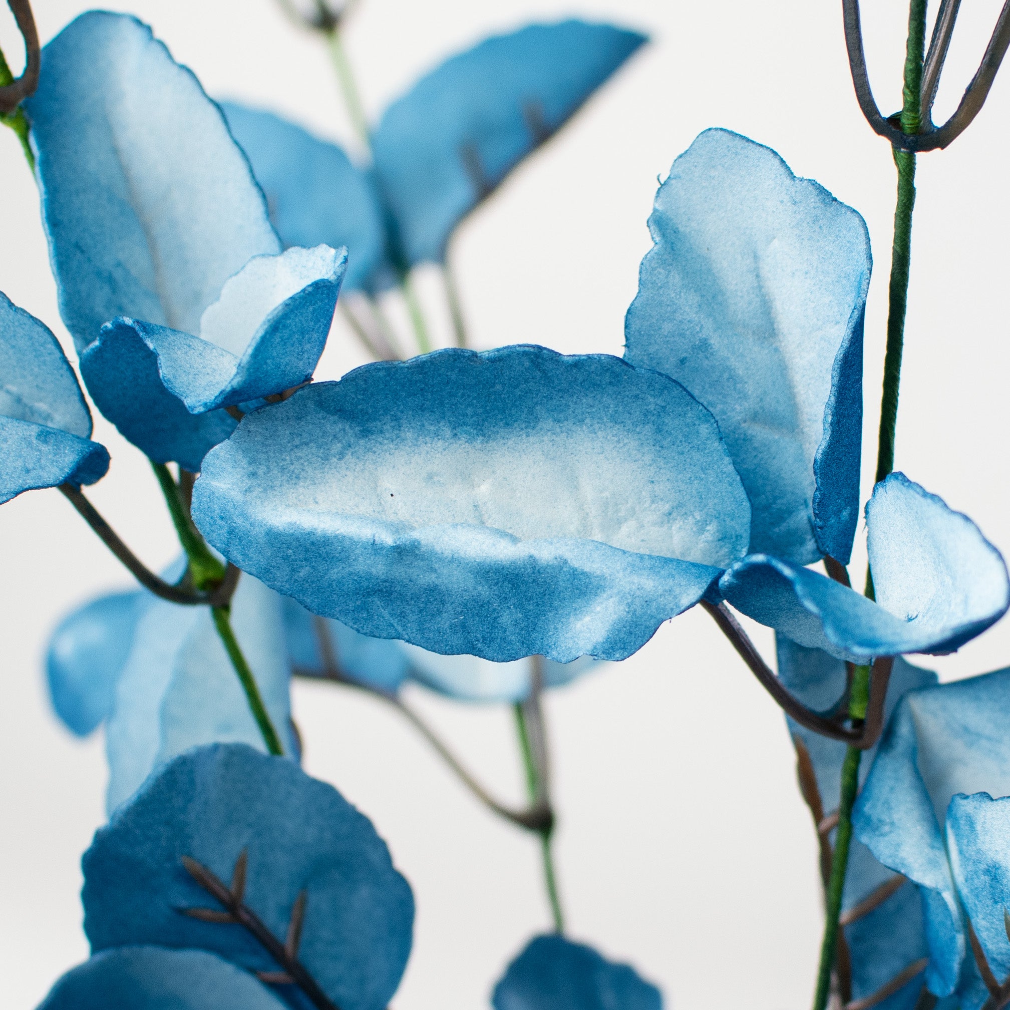 19" Lamb's Ear Leaf Spray: Blue Lifestyle Photo