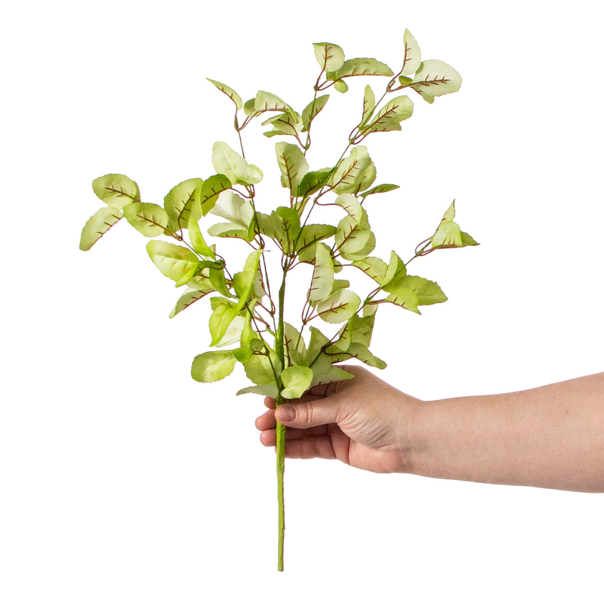 19" Lamb's Ear Leaf Spray: Lime Green detail photo 3