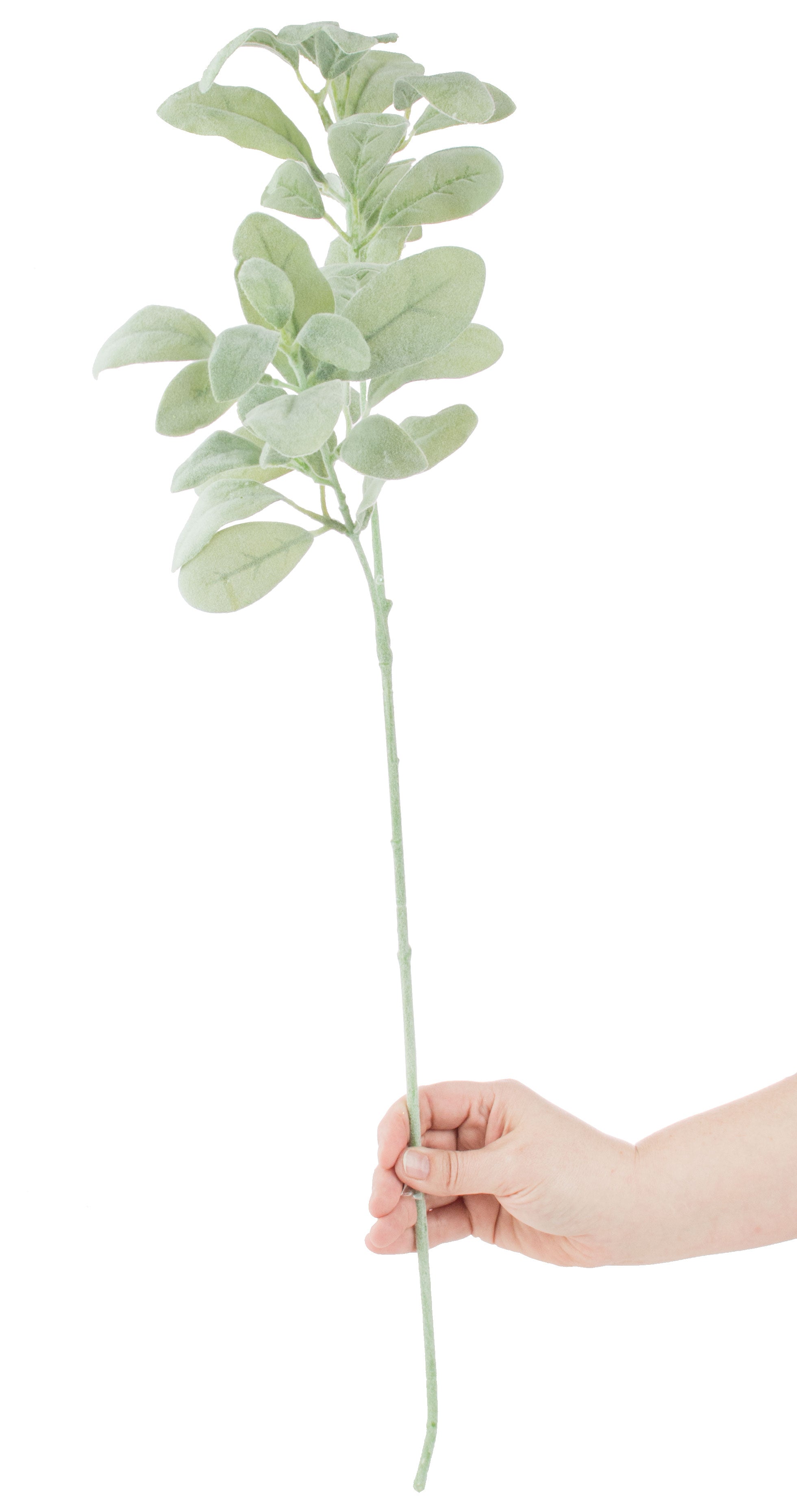 28" Lamb's Ear Spray Lifestyle Photo