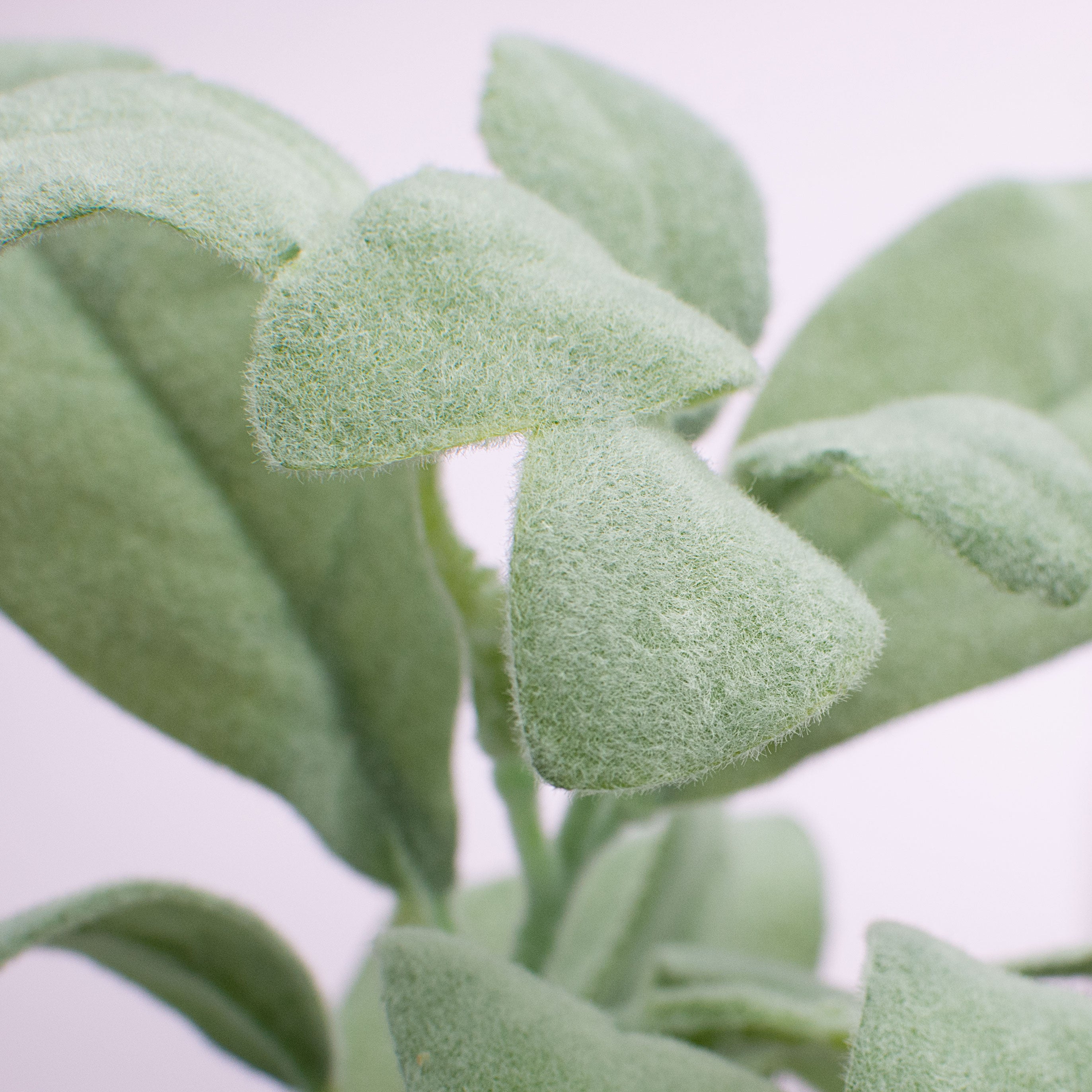 28" Lamb's Ear Spray detail photo 3
