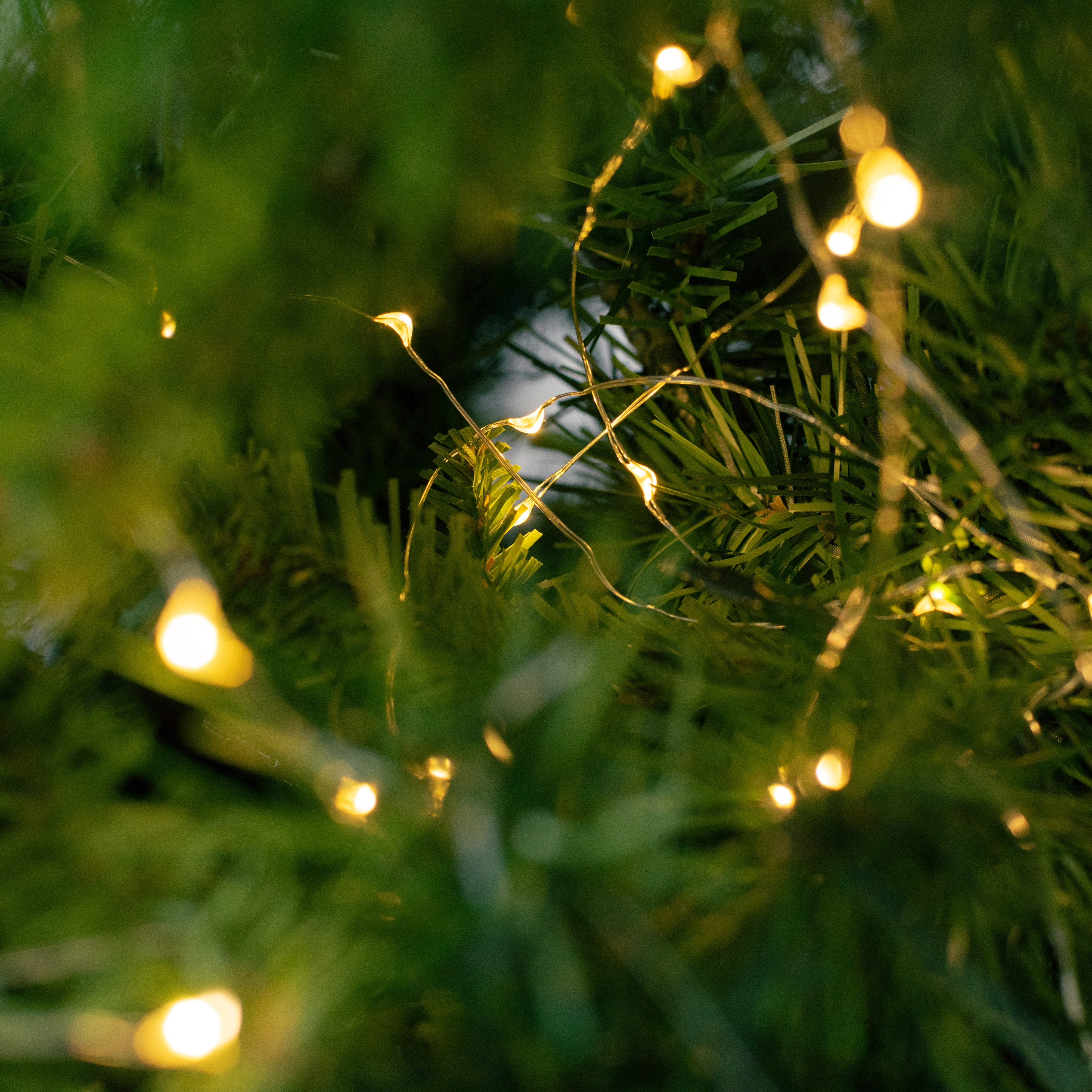 LED String Lights with Adapter: Warm White detail photo 6