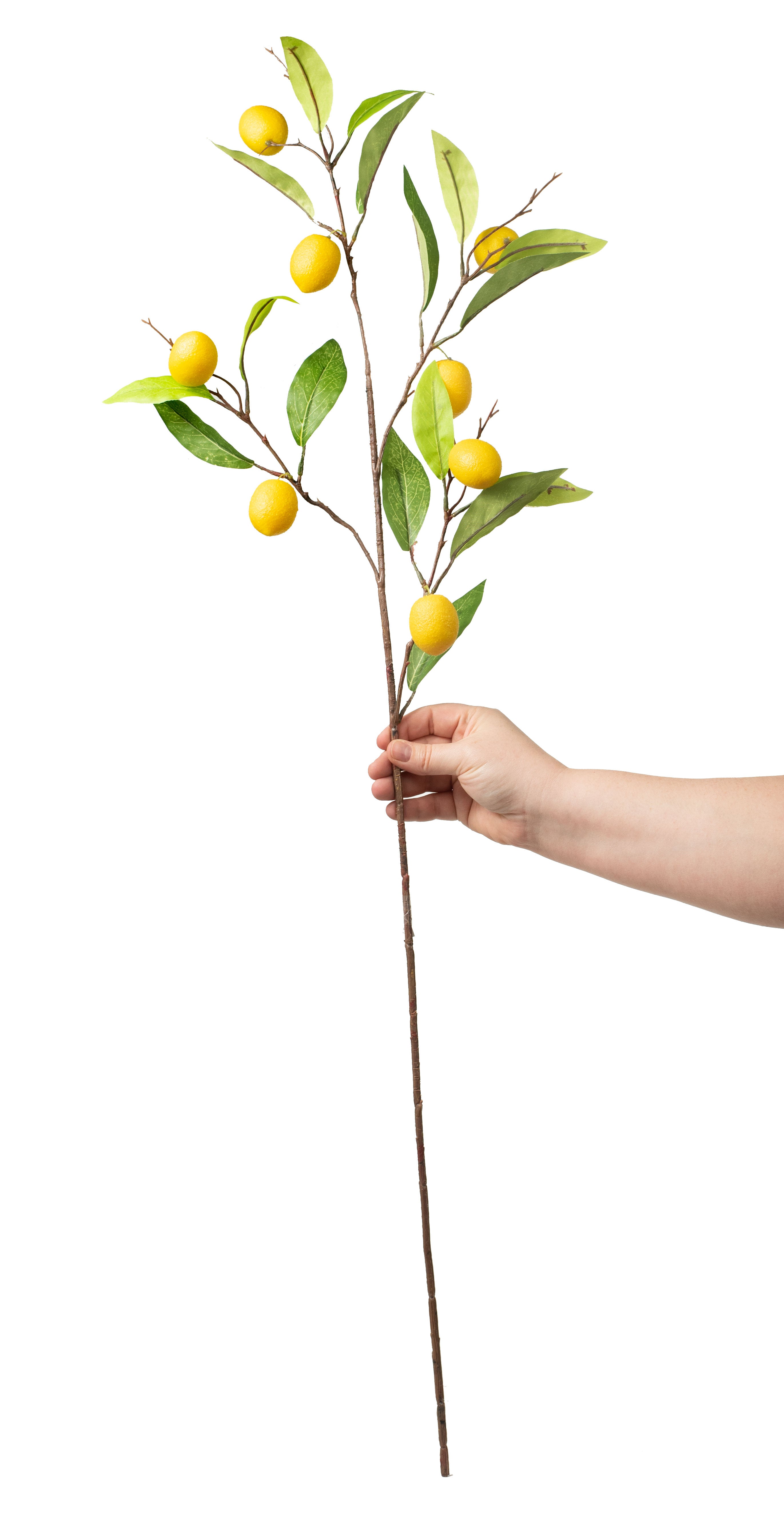 38" Lemon Branch detail photo 3