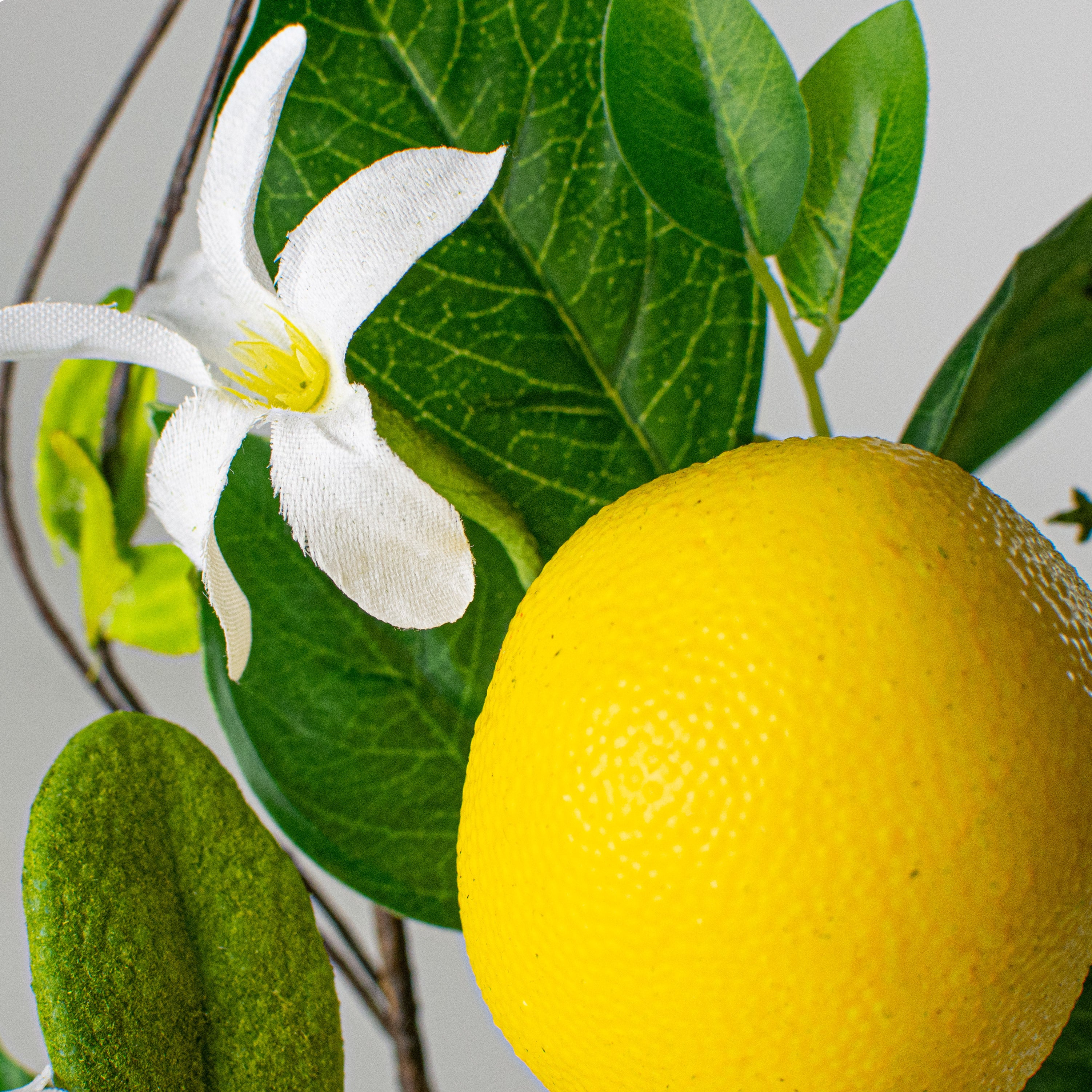 16" Lemon & Fern Pick Lifestyle Photo