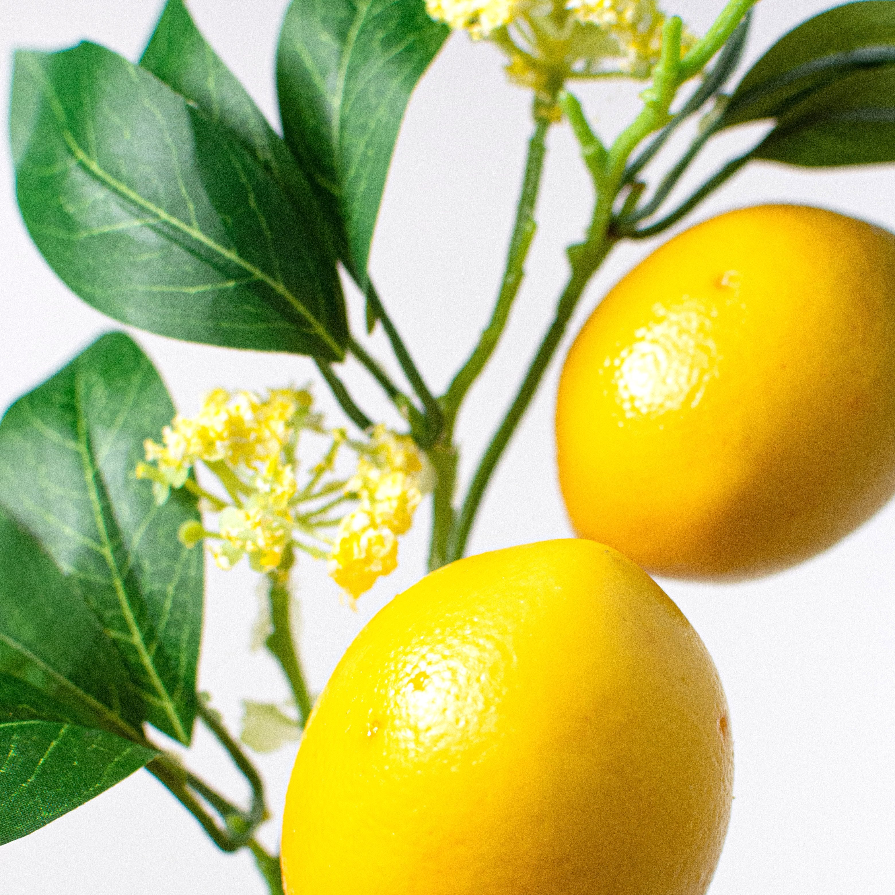 13" Lemon & Leaves Pick Lifestyle Photo