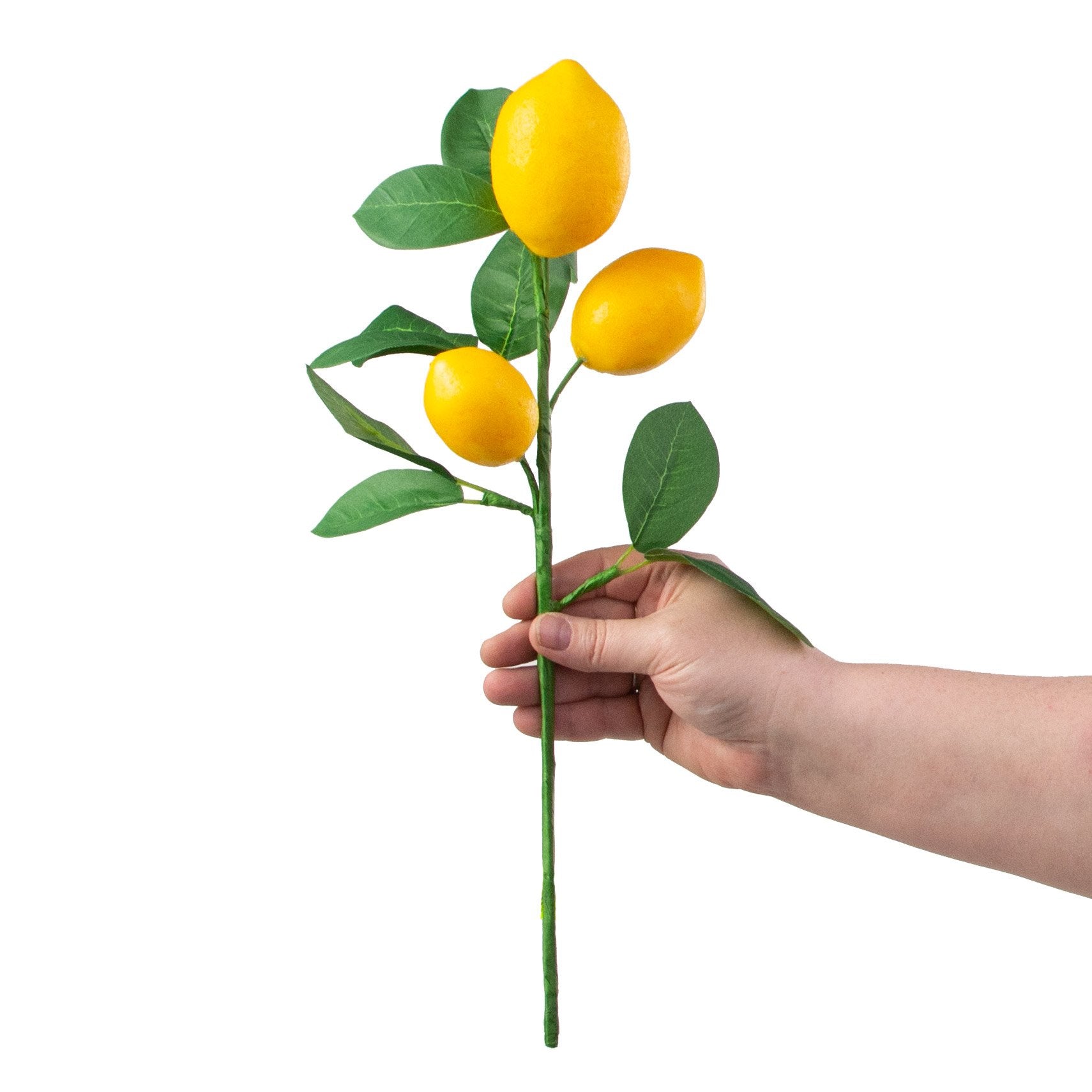 16" Lemon & Leaves Pick detail photo 3