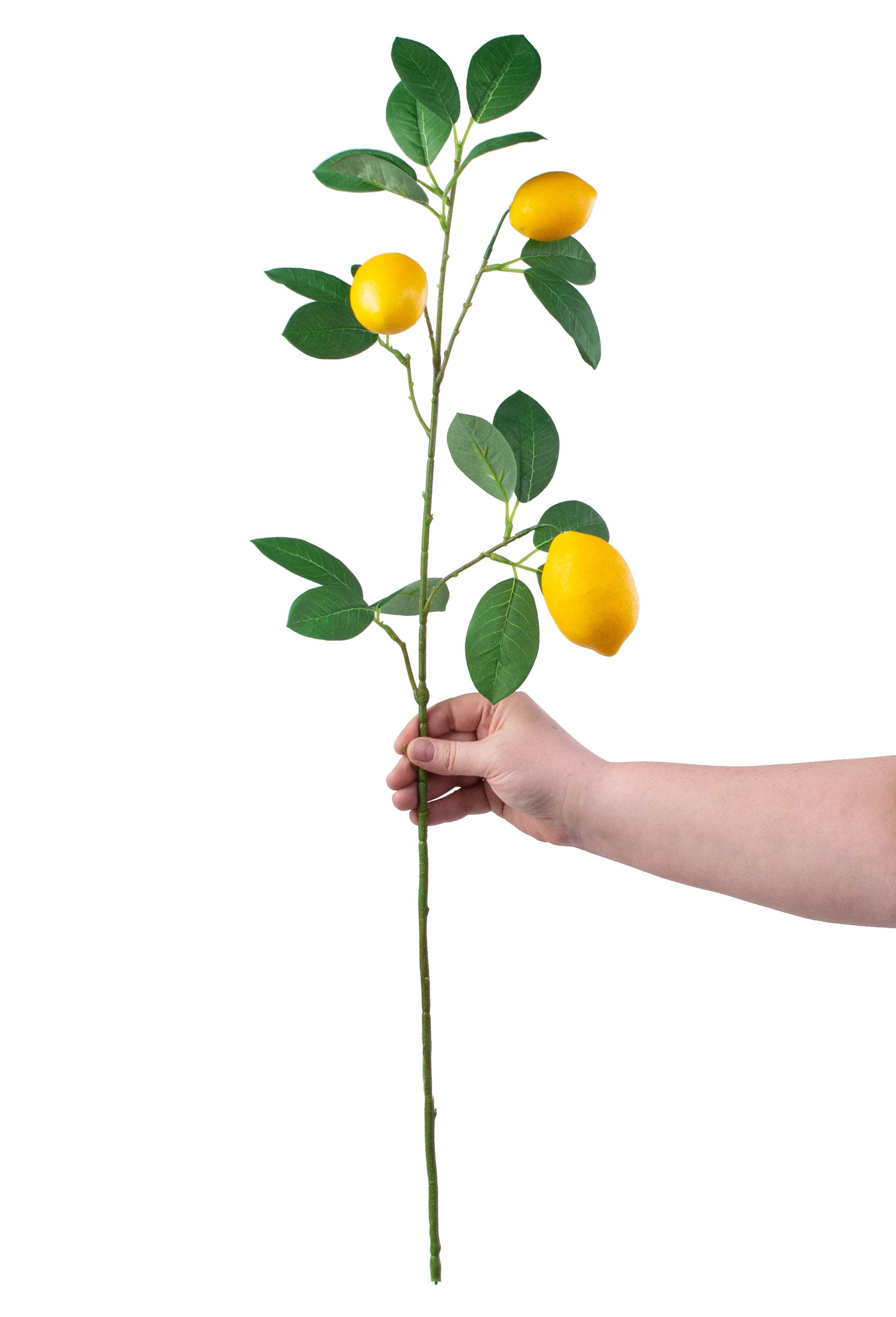 30" Lemon & Leaves Spray detail photo 3