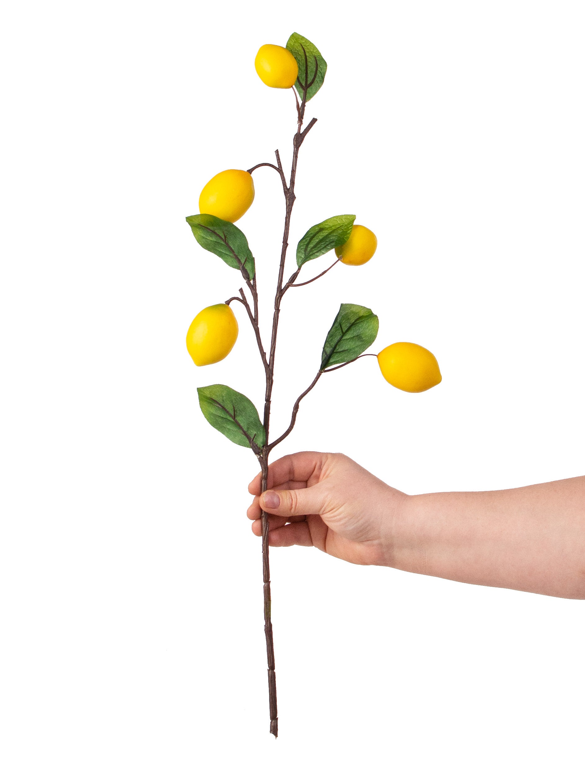 22" Lemon Spray detail photo 3