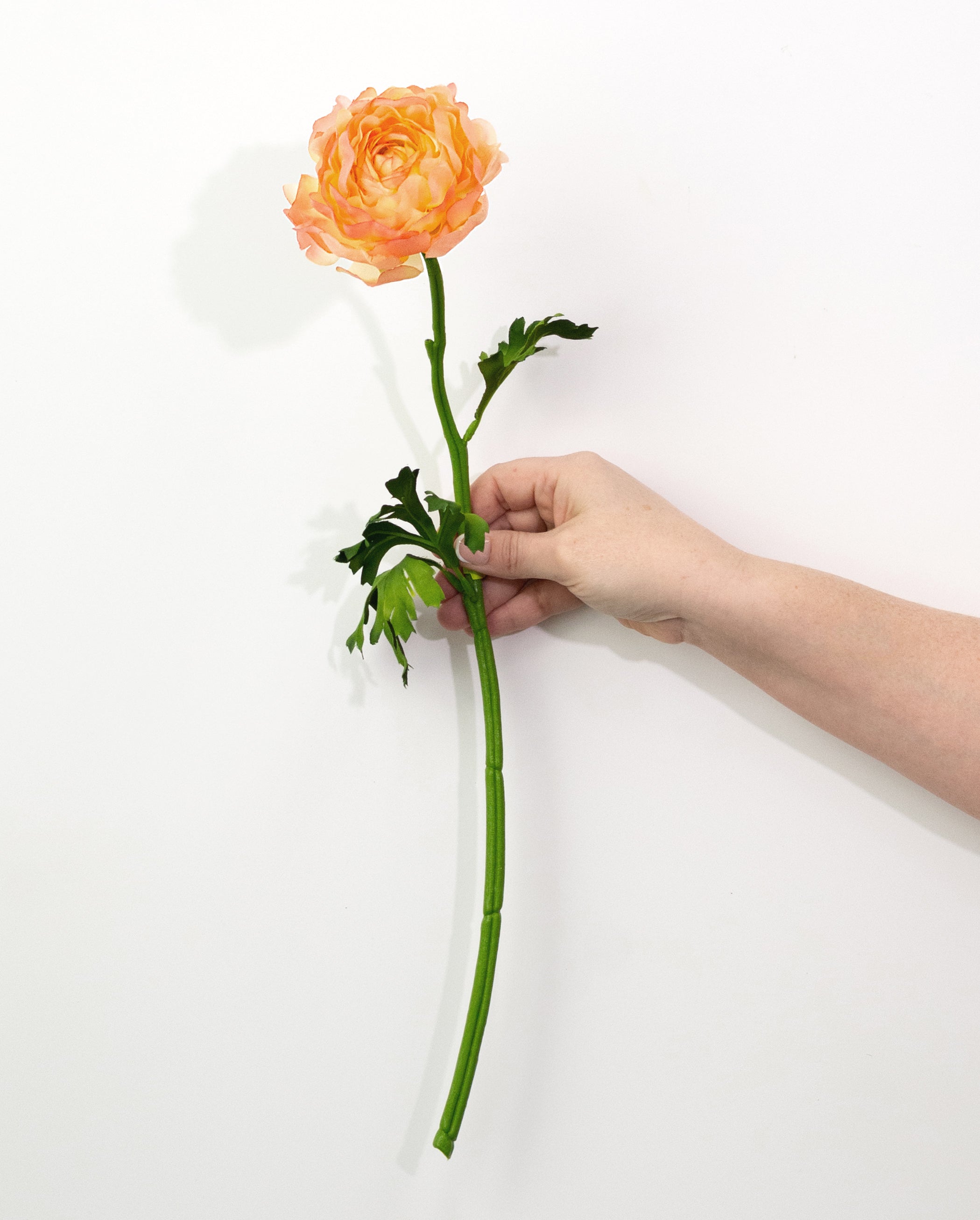 20" Ranunculus Stem: Peach Yellow