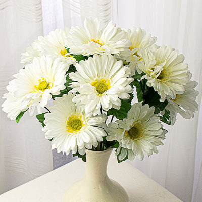 Daisies