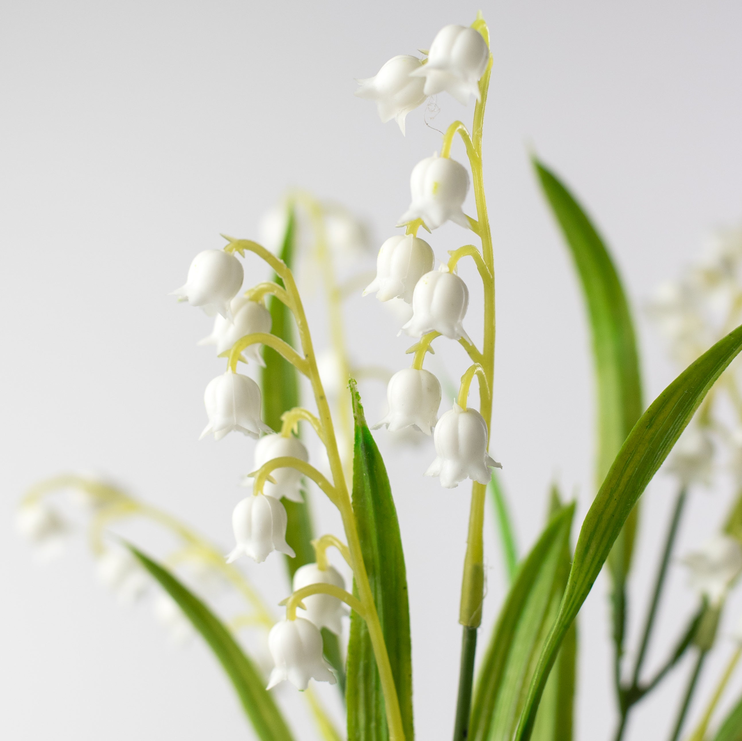 15" Lily of the Valley Bush Lifestyle Photo