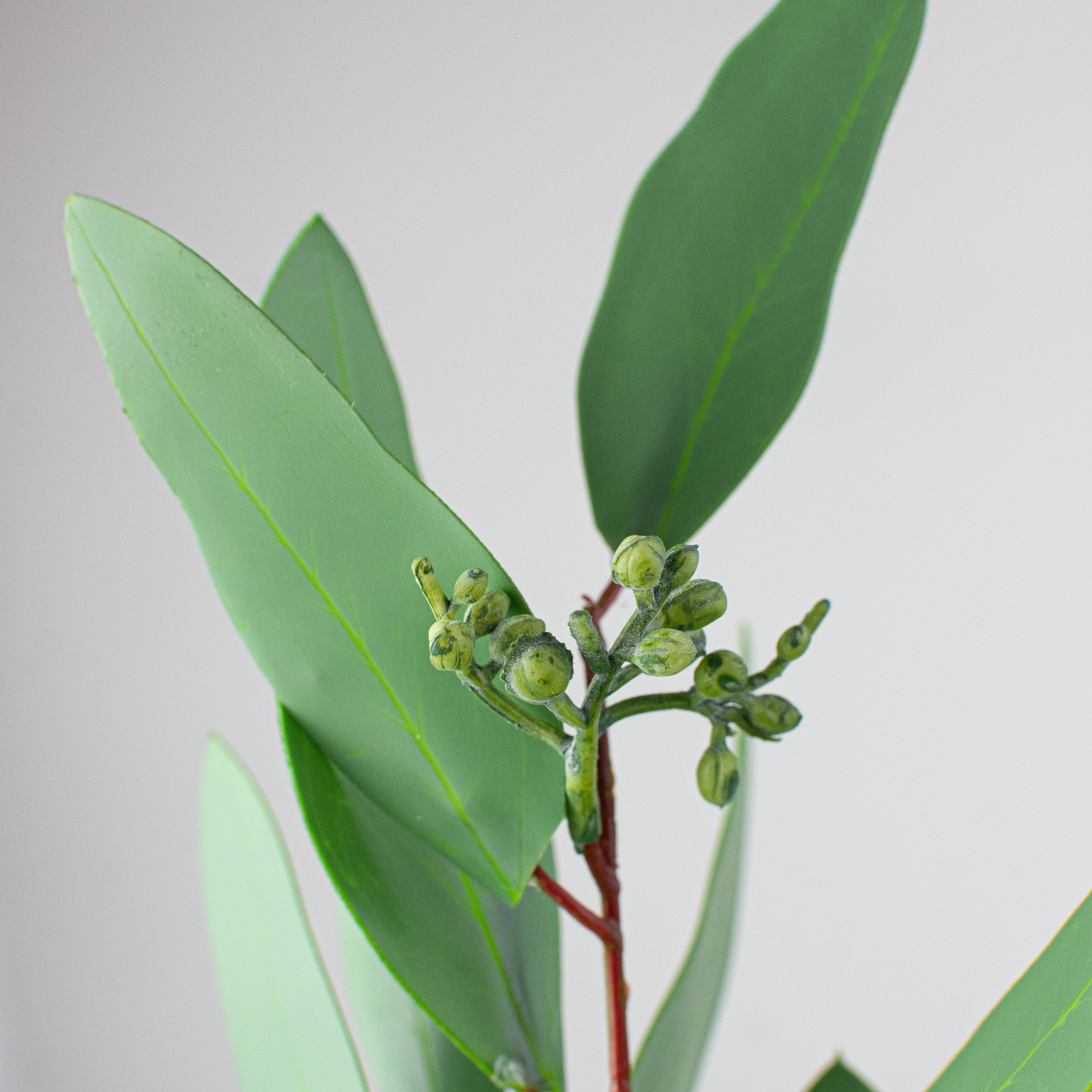 34" Long Leaf Seeded Eucalyptus Spray Lifestyle Photo