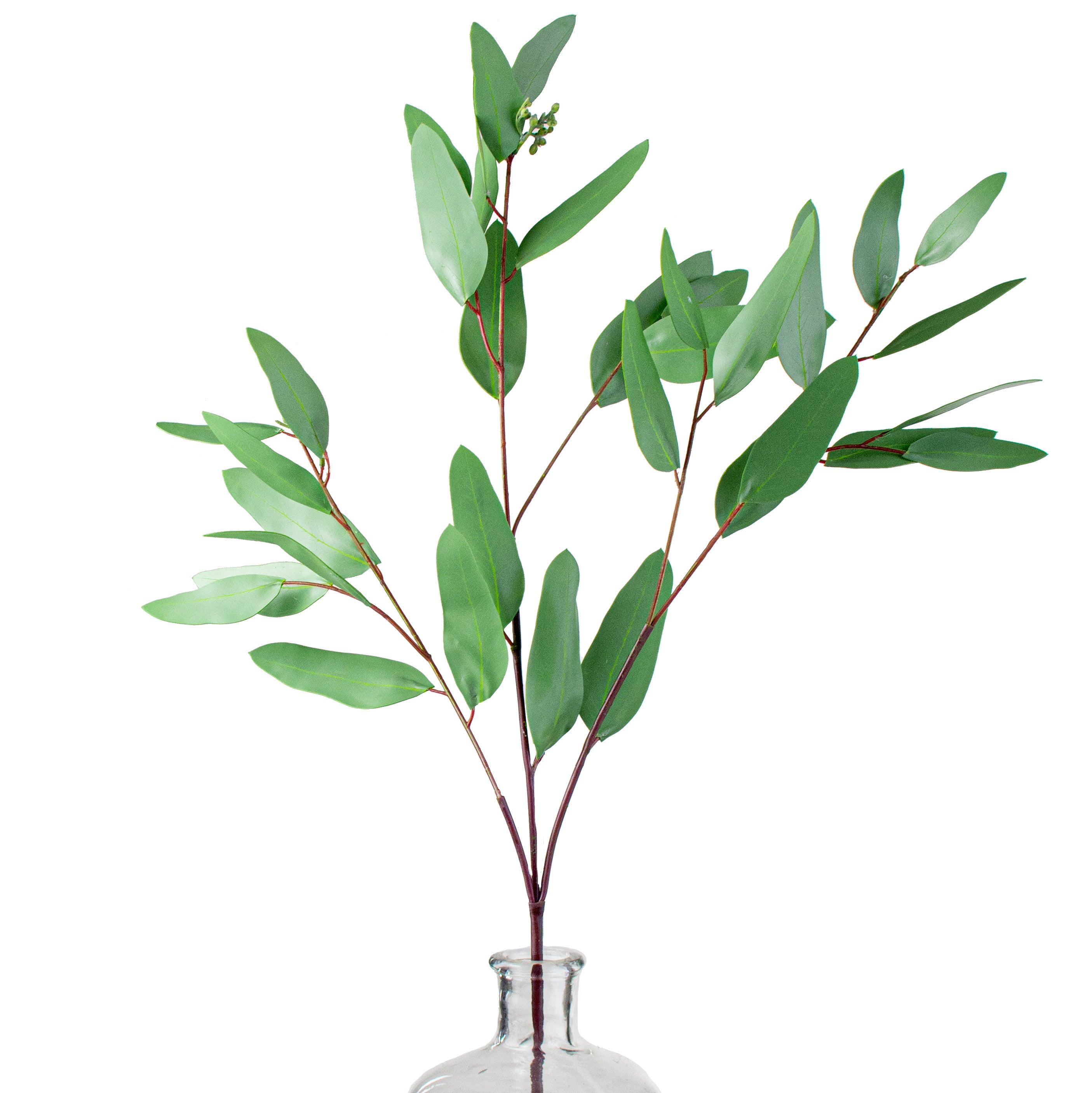34" Long Leaf Seeded Eucalyptus Spray Item Number: 2310172GR