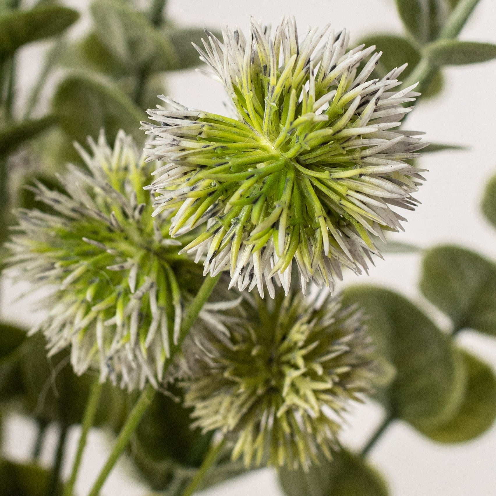 20" Lotus Pod Leaves Bush: Cream detail photo 4