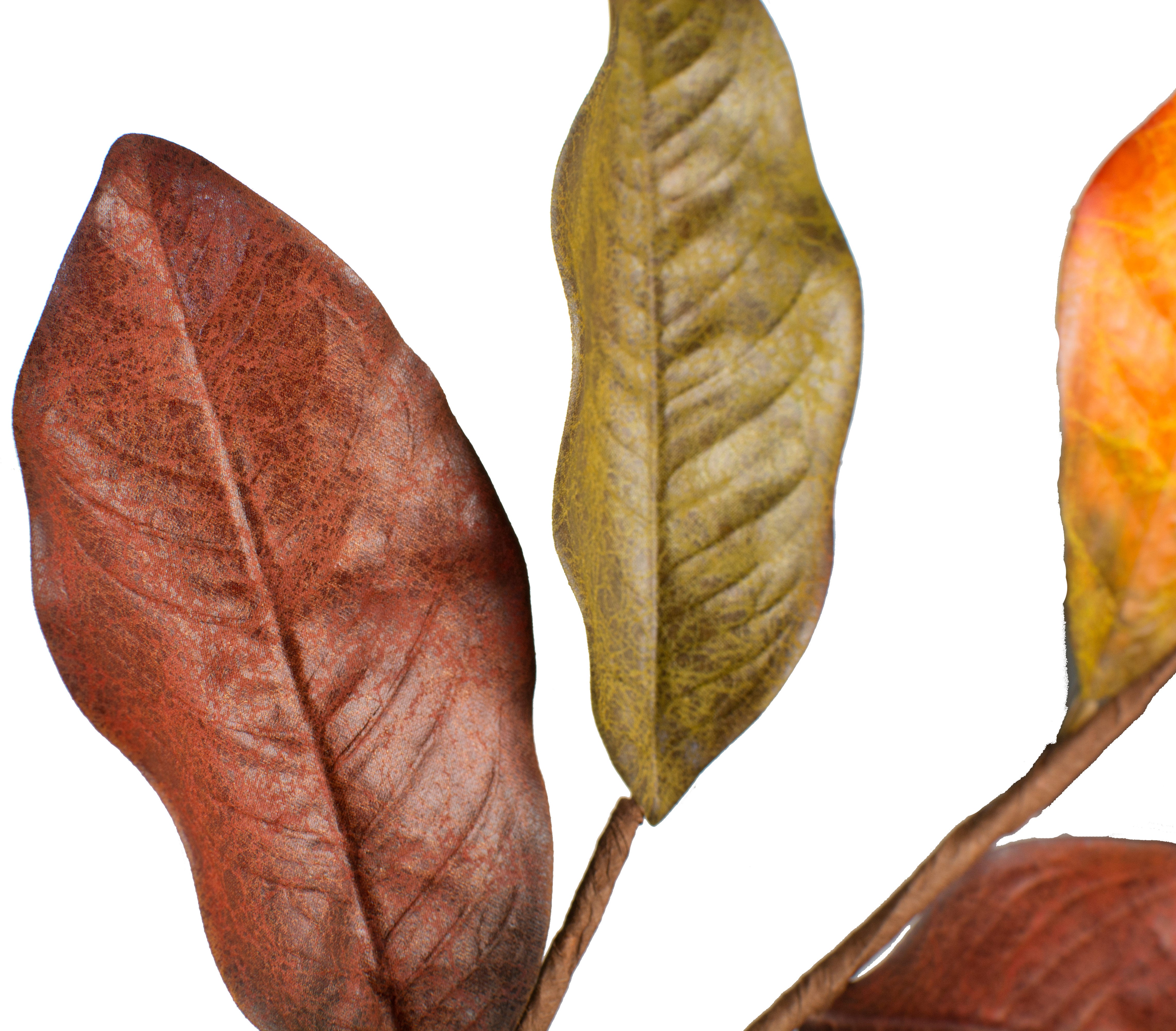 24" Magnolia Leaf Spray: Fall Mix detail photo 3