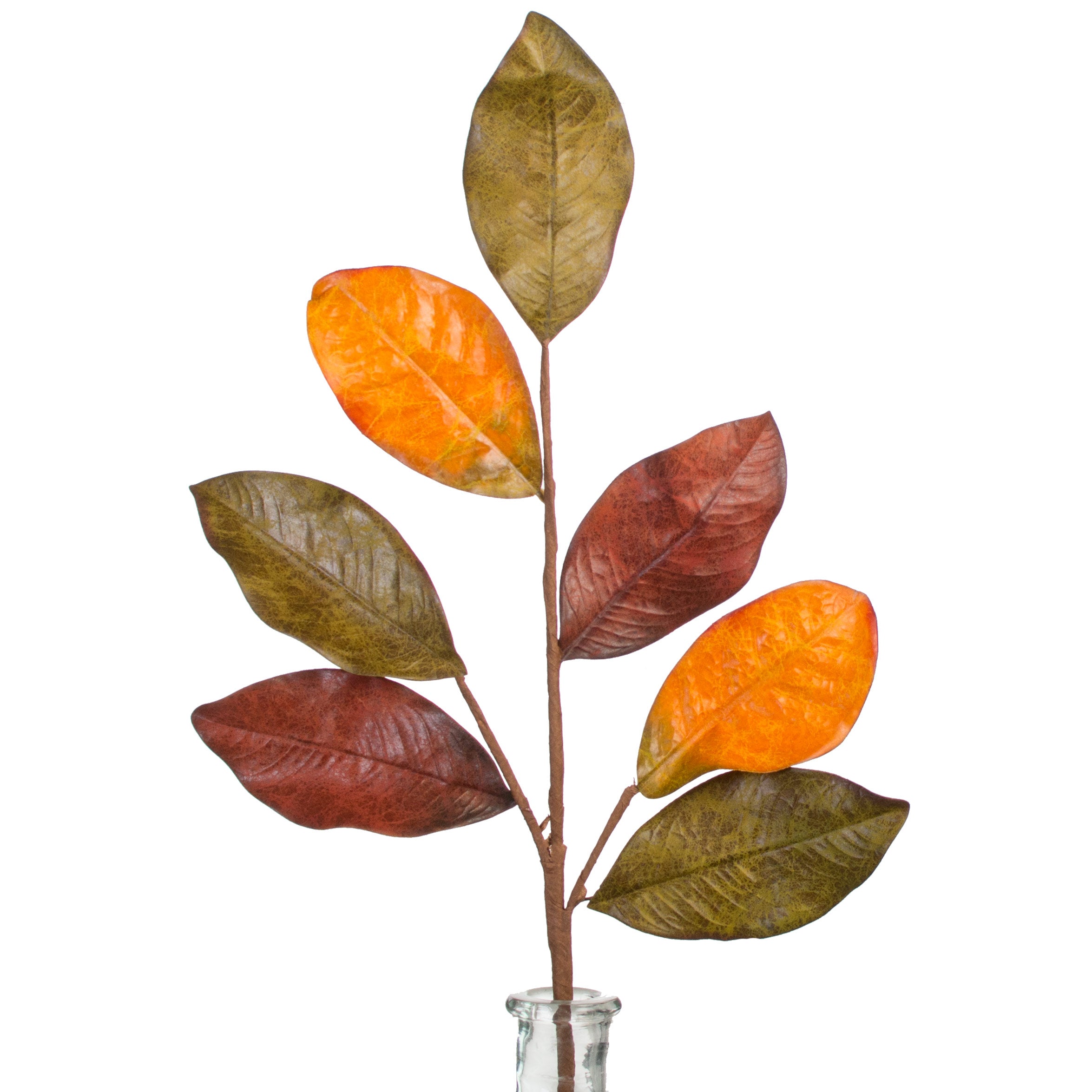 24" Magnolia Leaf Spray: Fall Mix Item Number: ISB63665