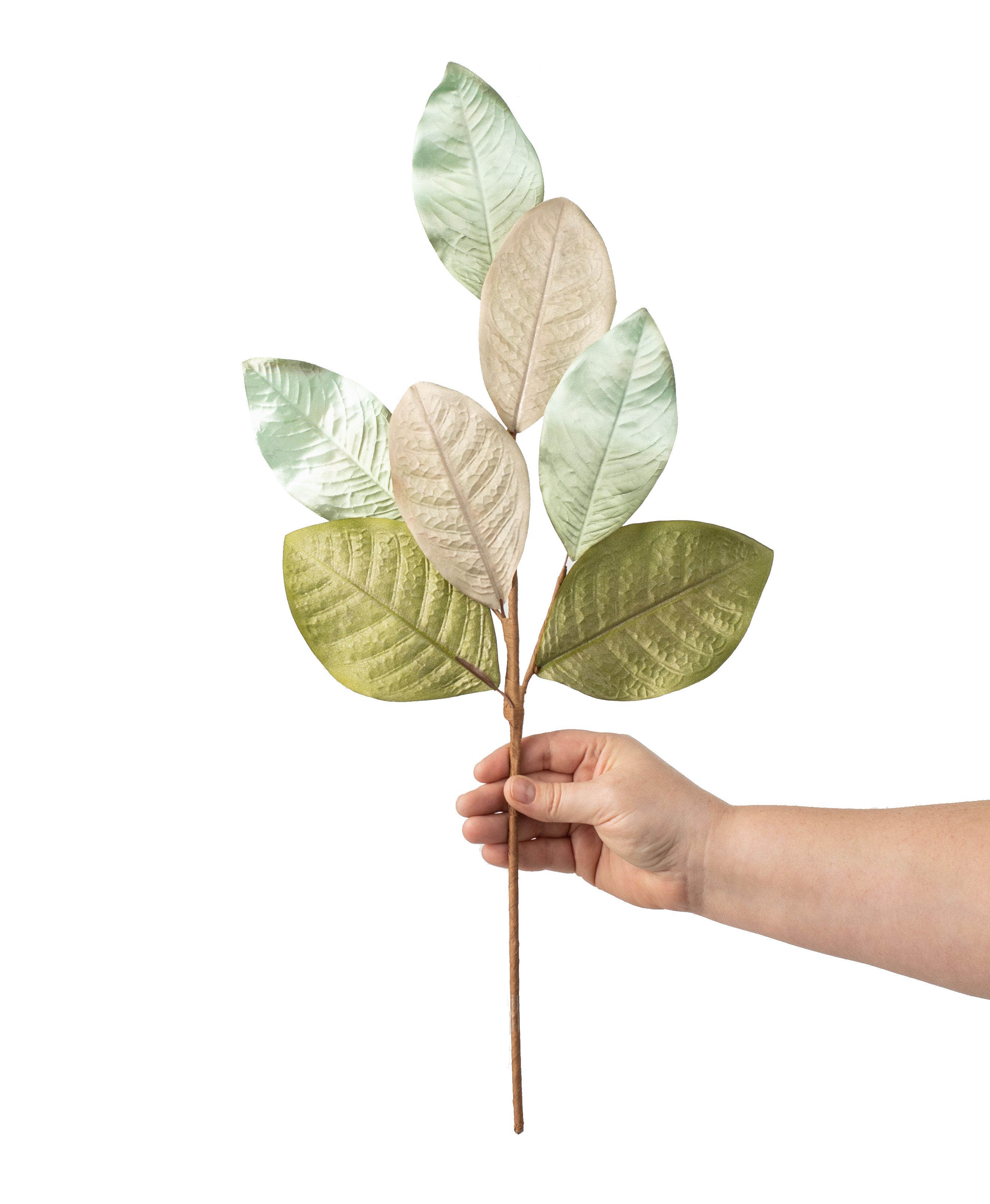 23" Magnolia Leaf Spray: Sea Foam, Champagne, Olive detail photo 3