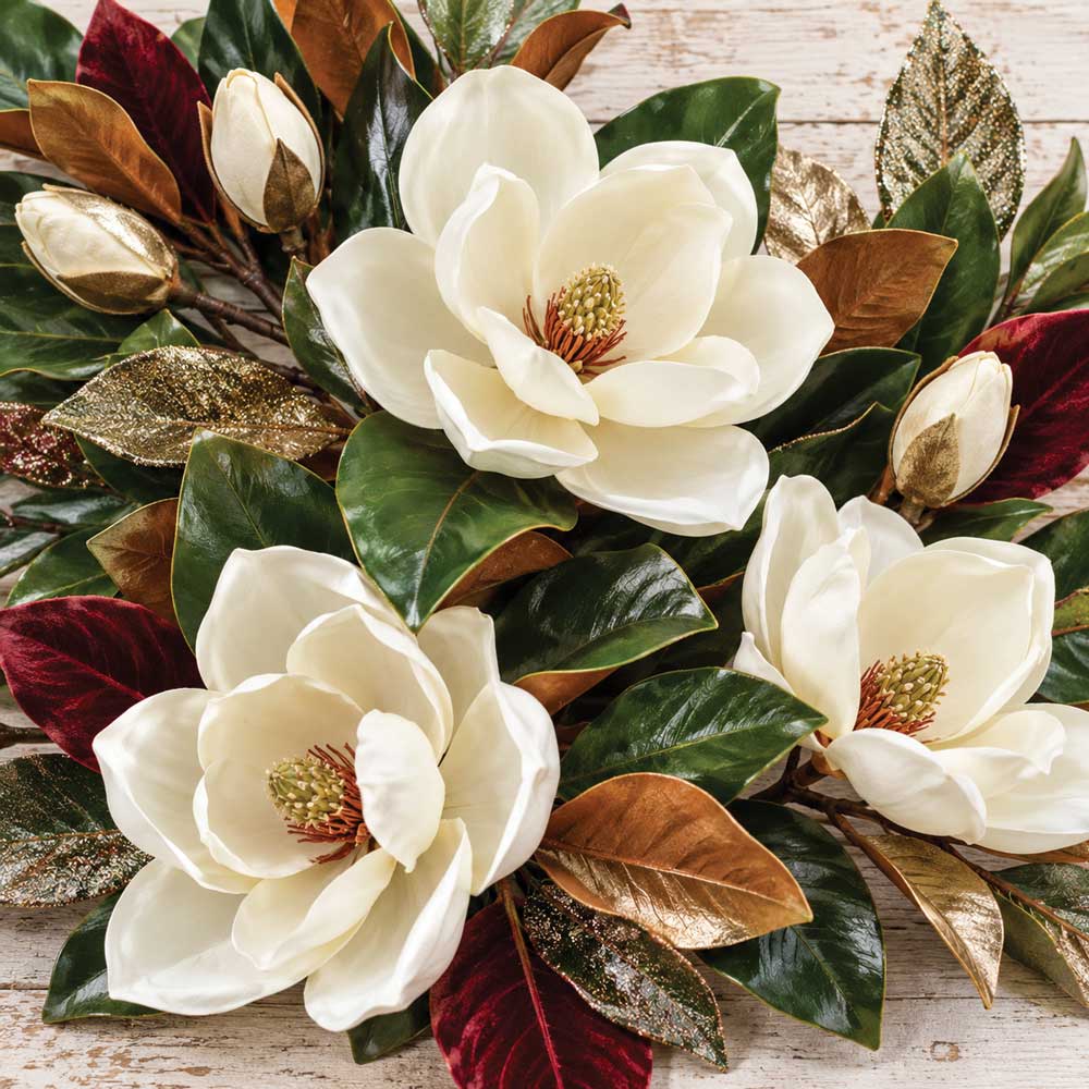 Magnolia