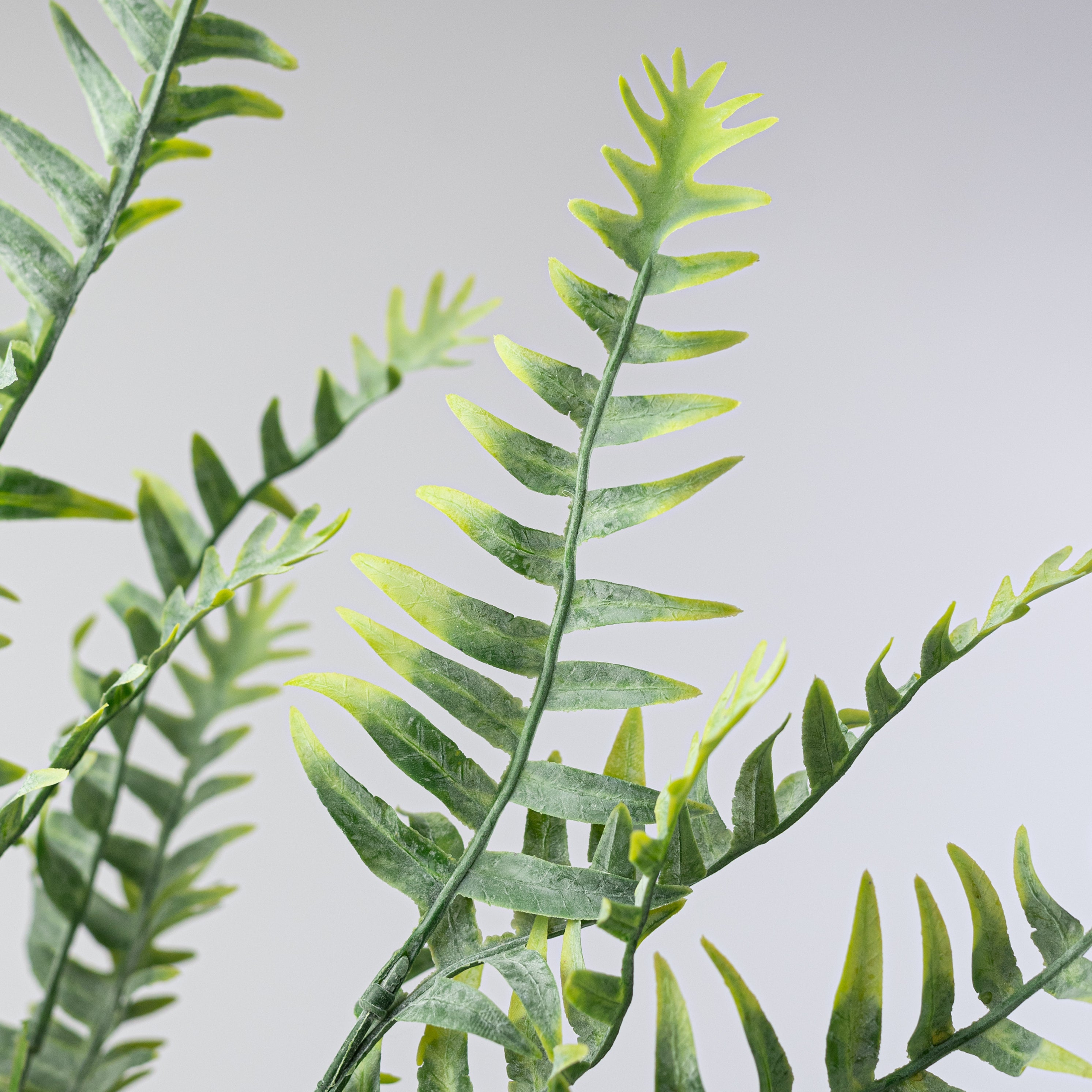 23" Matte Plastic Fern Bush Lifestyle Photo