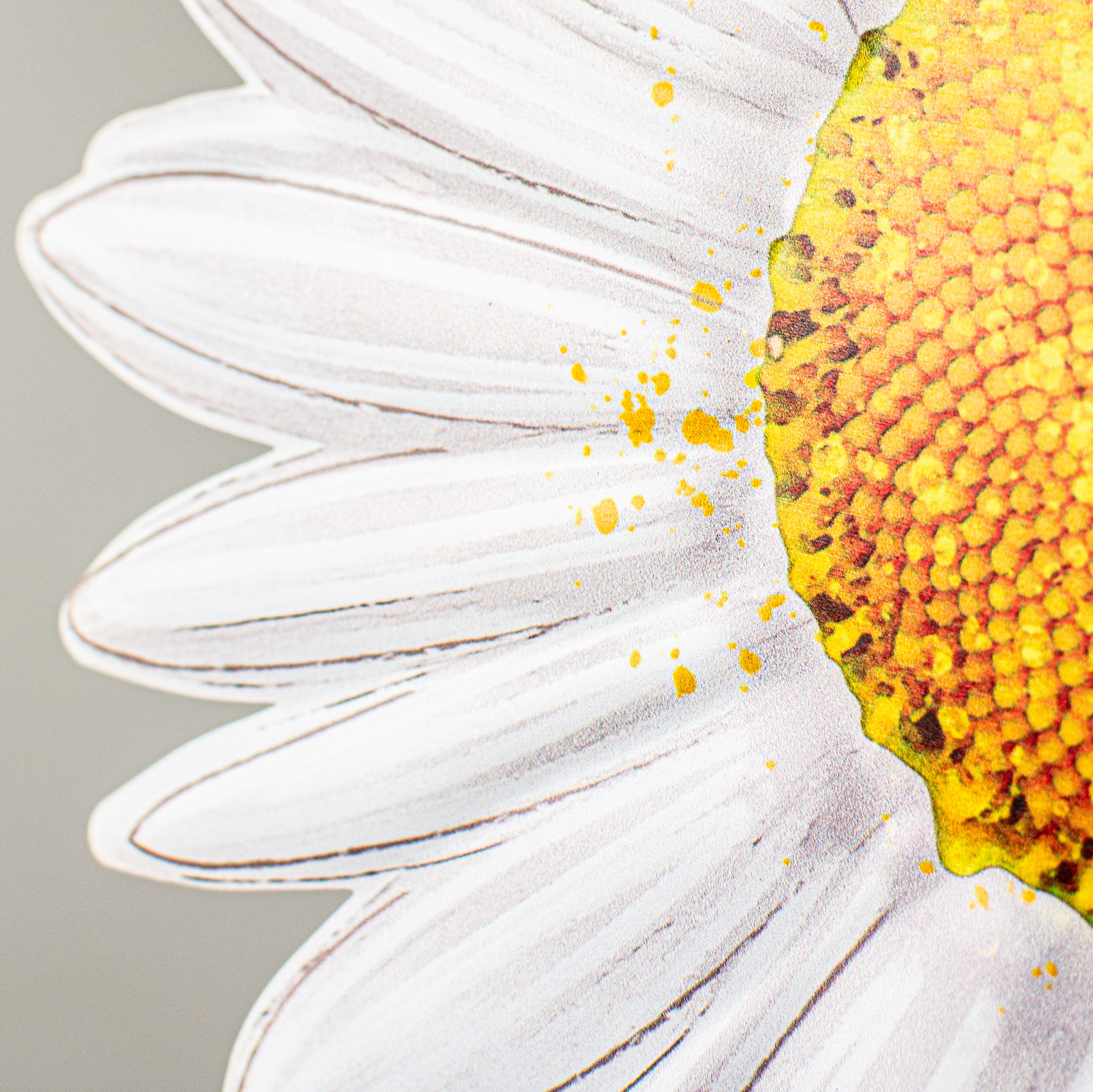 12" Metal Embossed Hanger: White Daisy detail photo 3