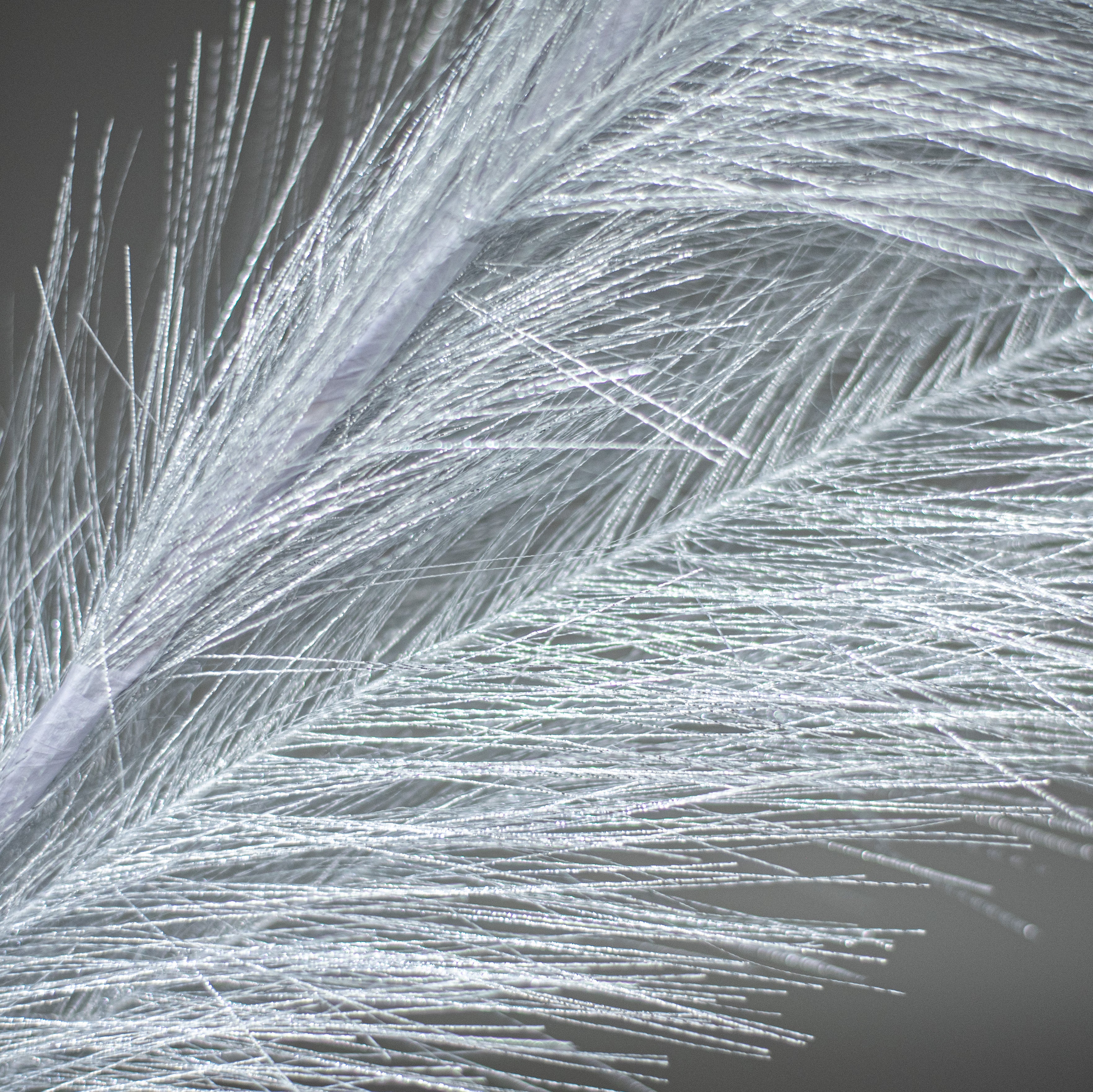 38" Metallic Pampas Grass Spray: Silver Lifestyle Photo