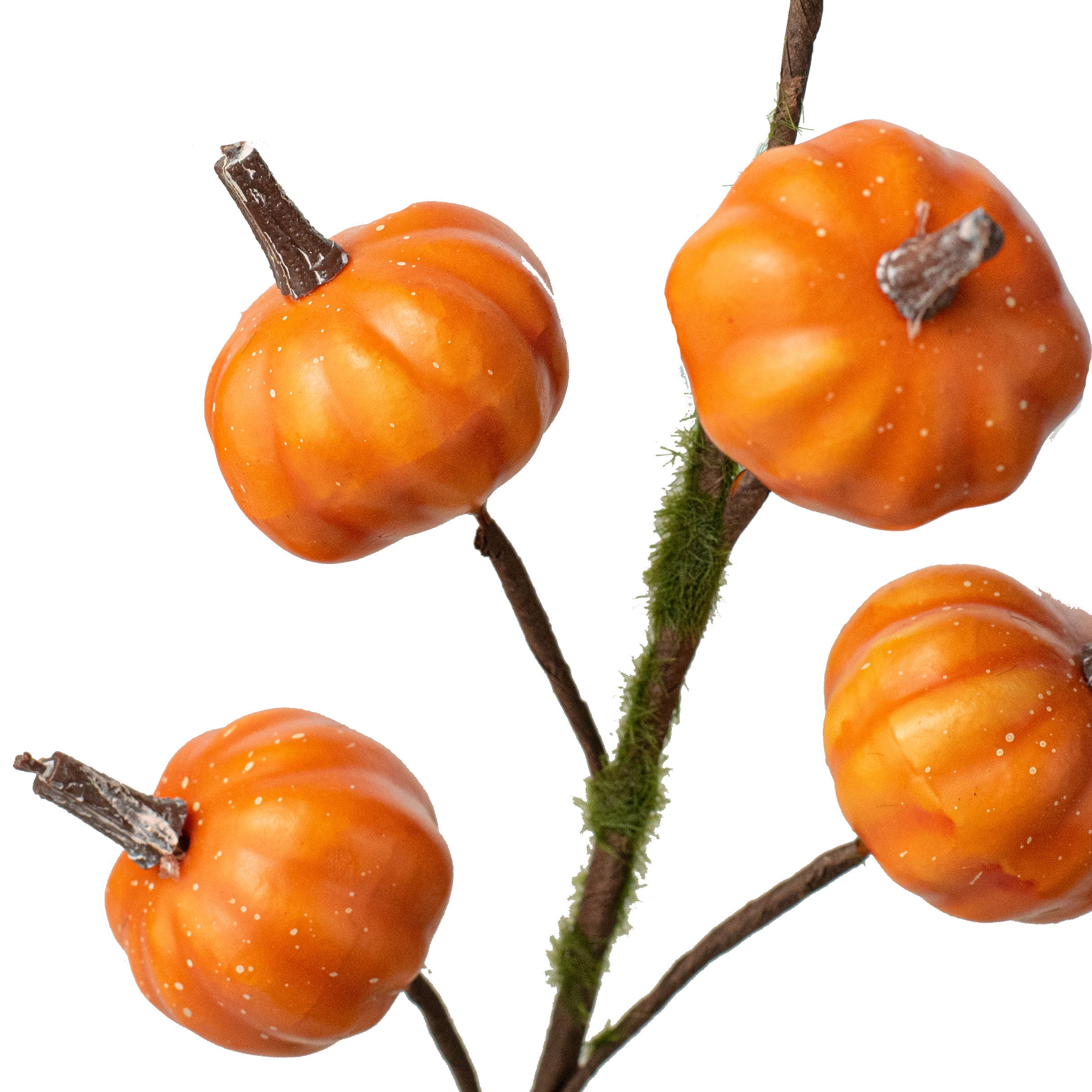 11" Mini Pumpkin Twiggy Pick: Orange Lifestyle Photo
