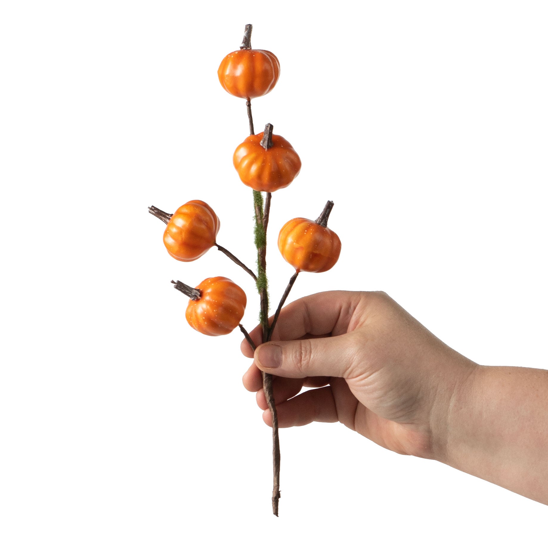 11" Mini Pumpkin Twiggy Pick: Orange detail photo 3