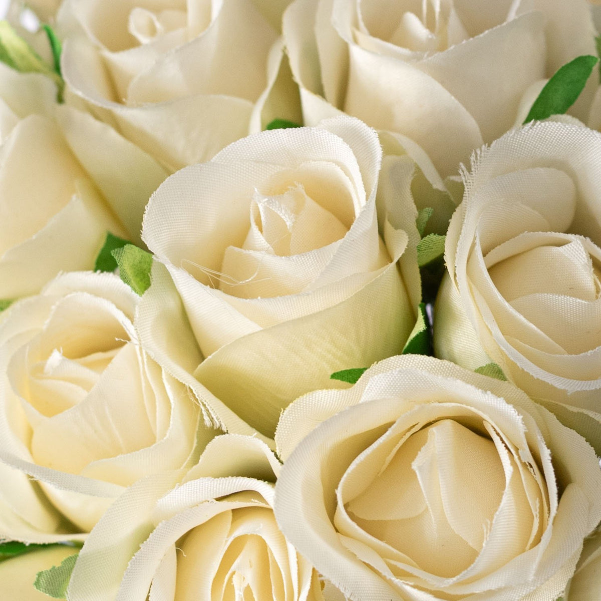 9" Mini Rose Bundle: Cream Lifestyle Photo