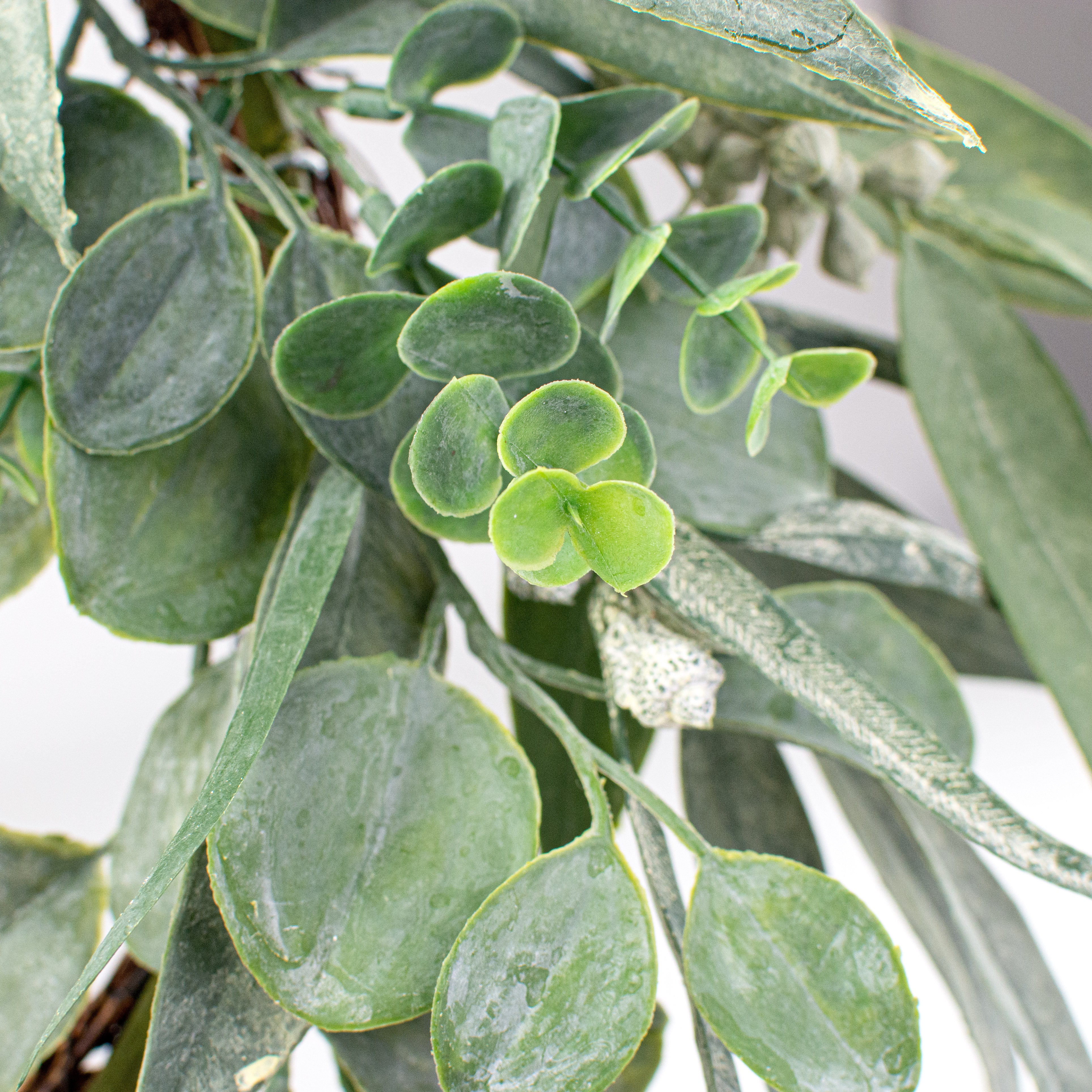 24" Mixed Eucalyptus Wreath detail photo 5