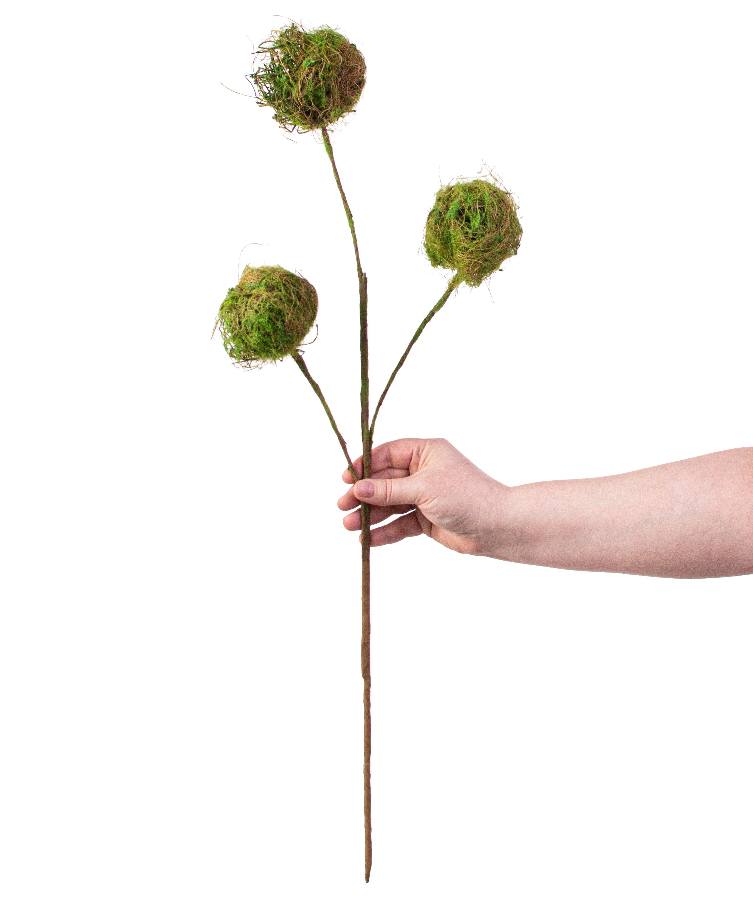 28" Moss Ball Spray detail photo 3