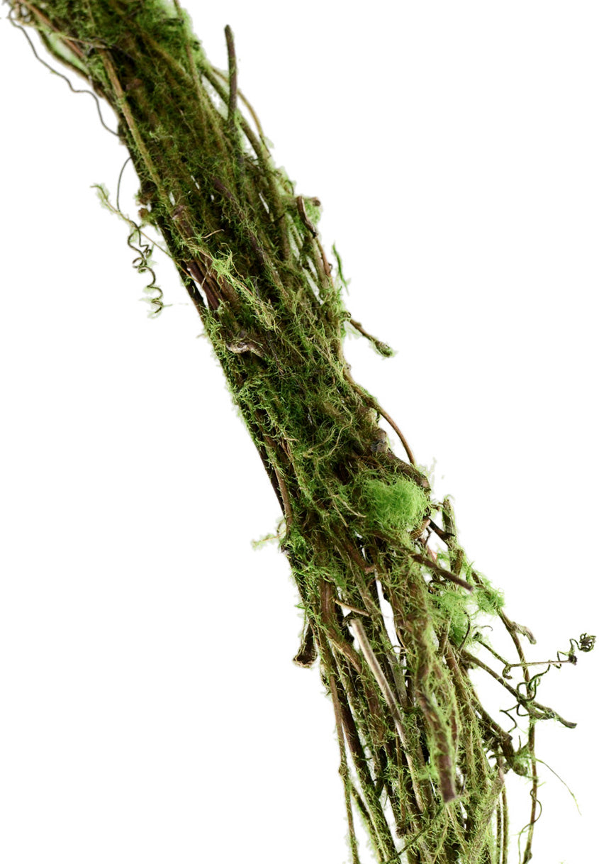 25' Moss Covered Grapevine Garland detail photo 4