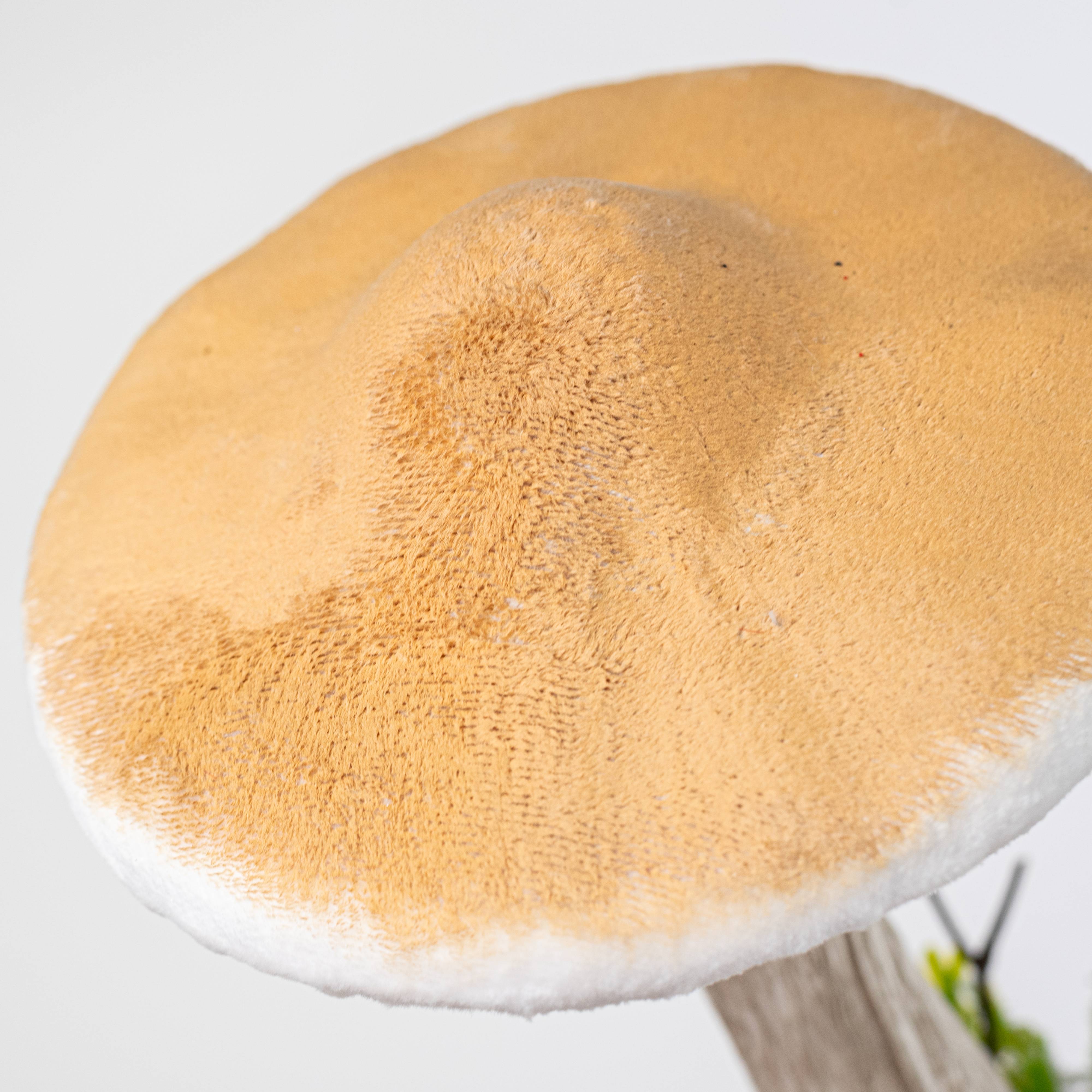 9.5" Mossy Mushroom Decoration detail photo 5