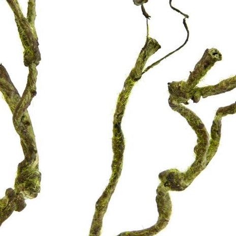 34" Mossy Twig Floral Spray Lifestyle Photo