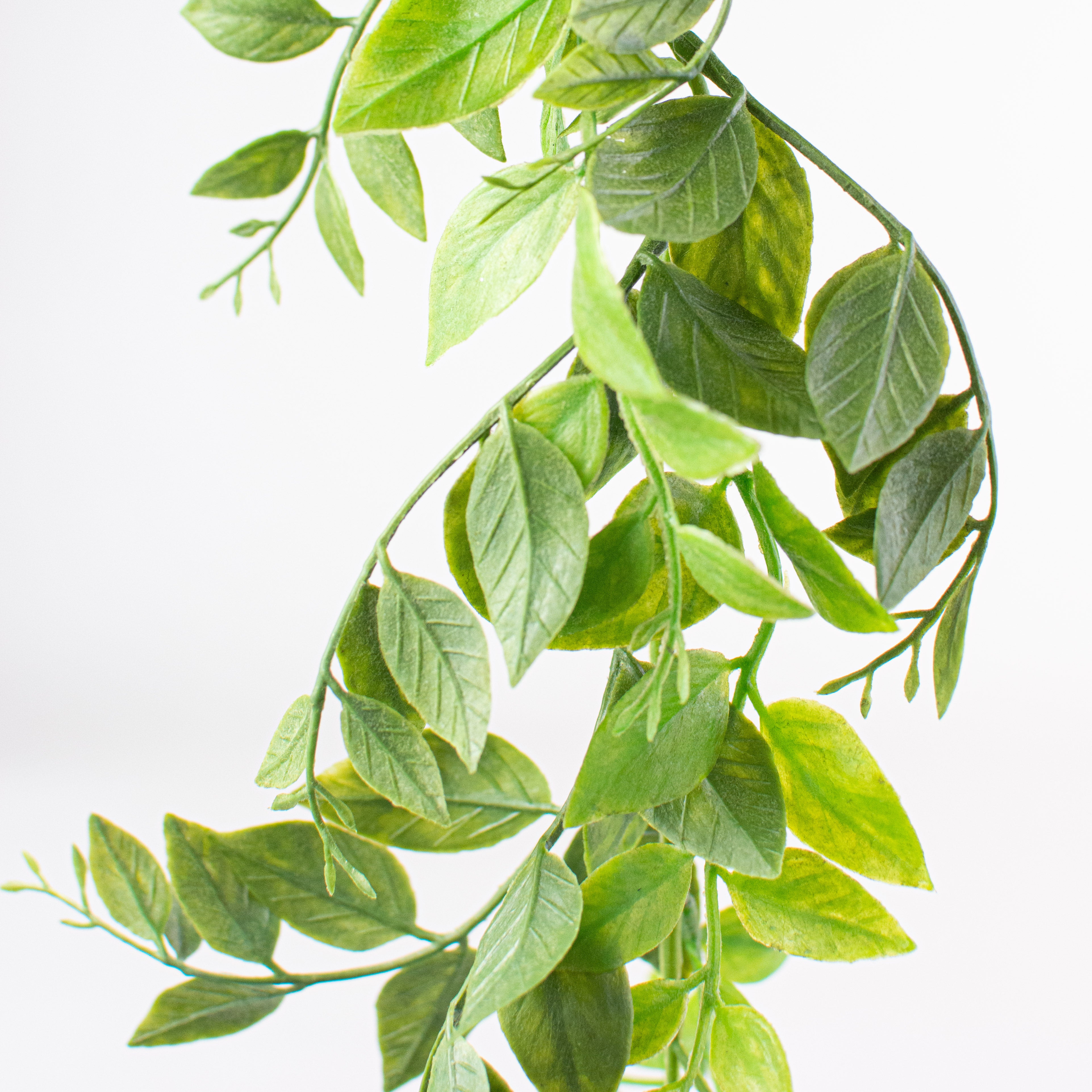 6' Mountain Laurel Garland detail photo 3