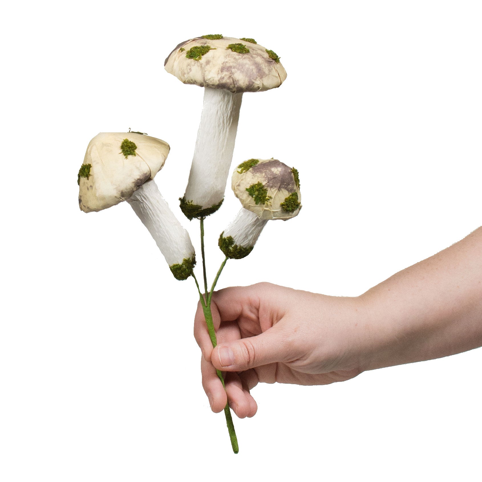 11" Mushroom Pick Lifestyle Photo