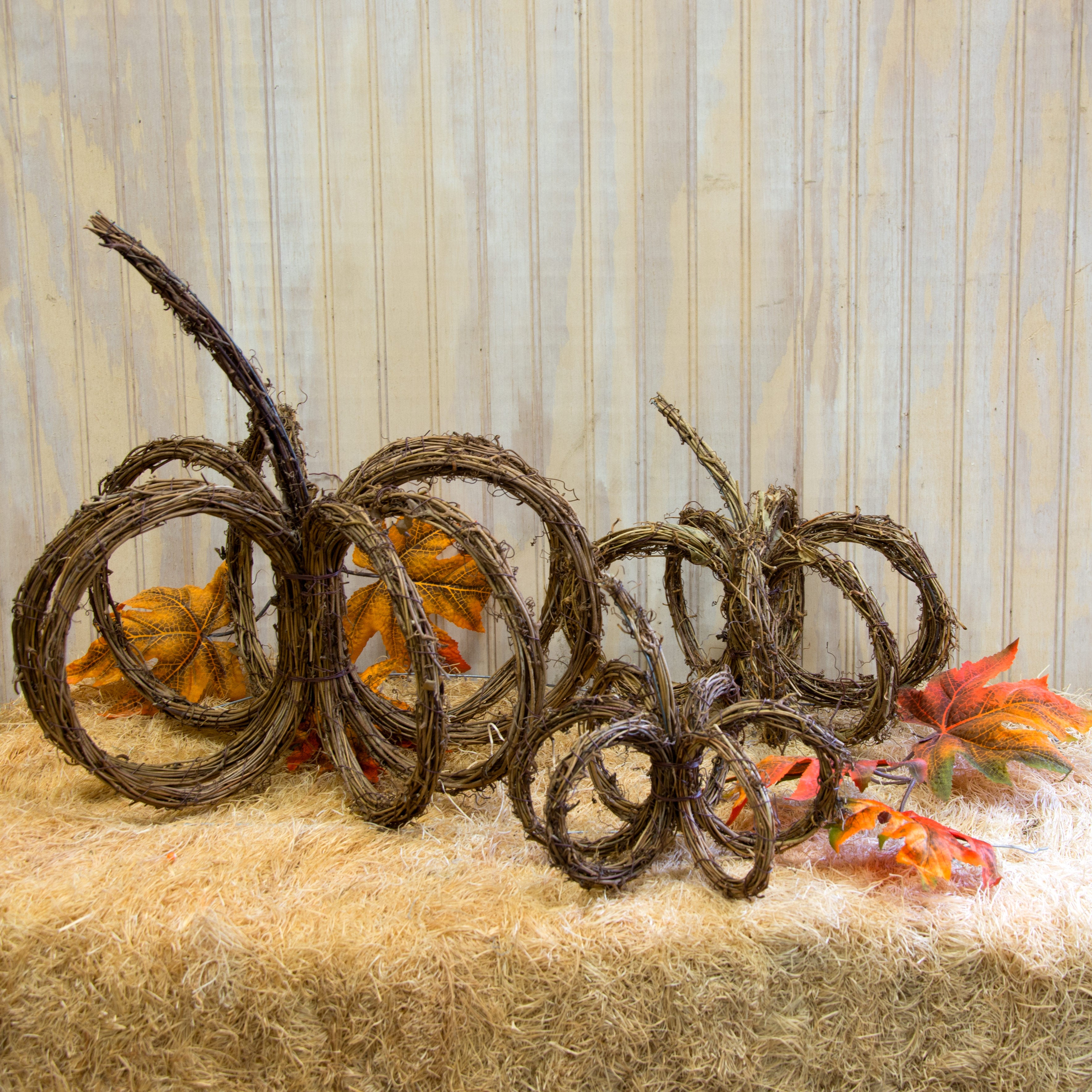 15" Natural Grapevine Pumpkin Lifestyle Photo
