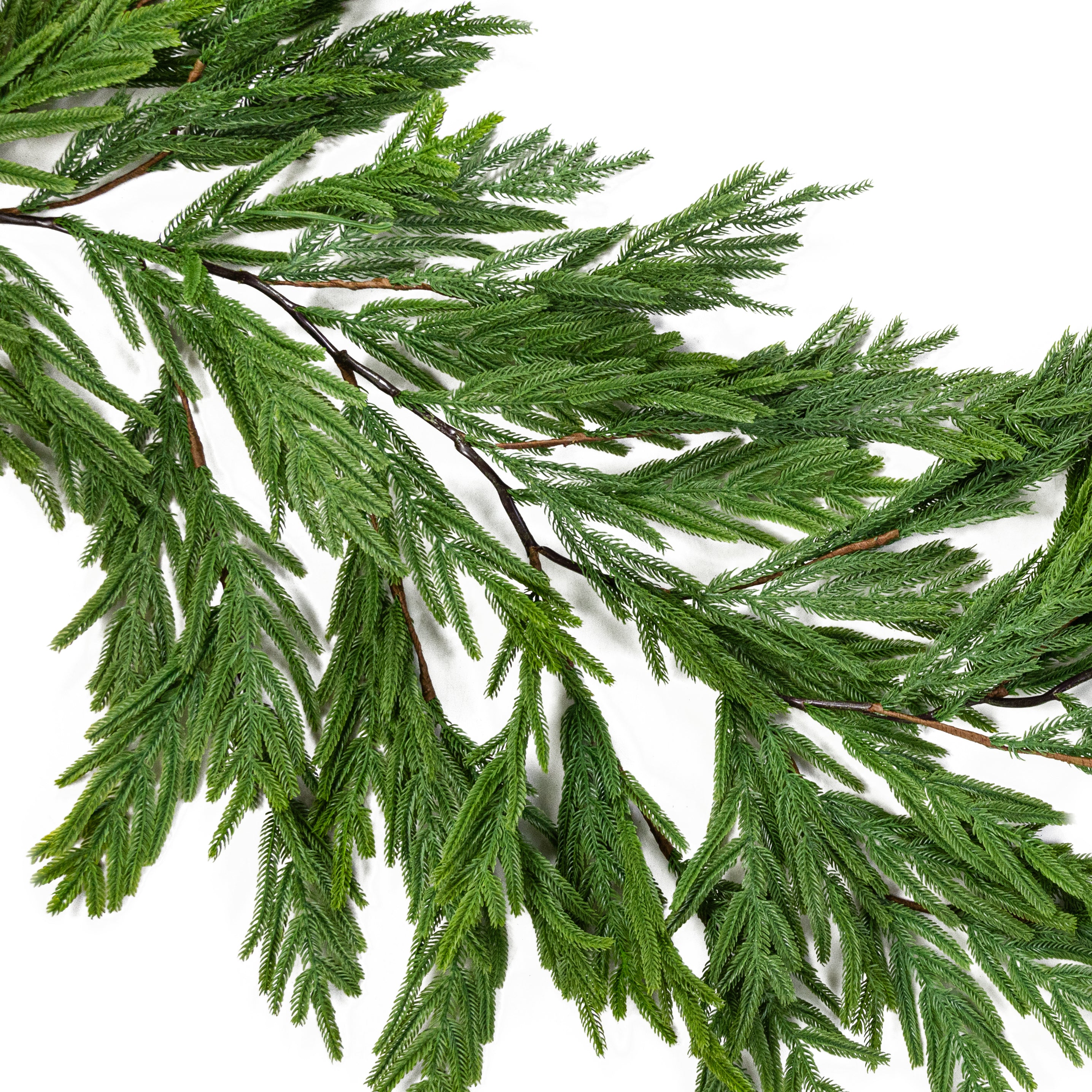 6' Norfolk Island Pine Hanging Garland Item Number: XX9418