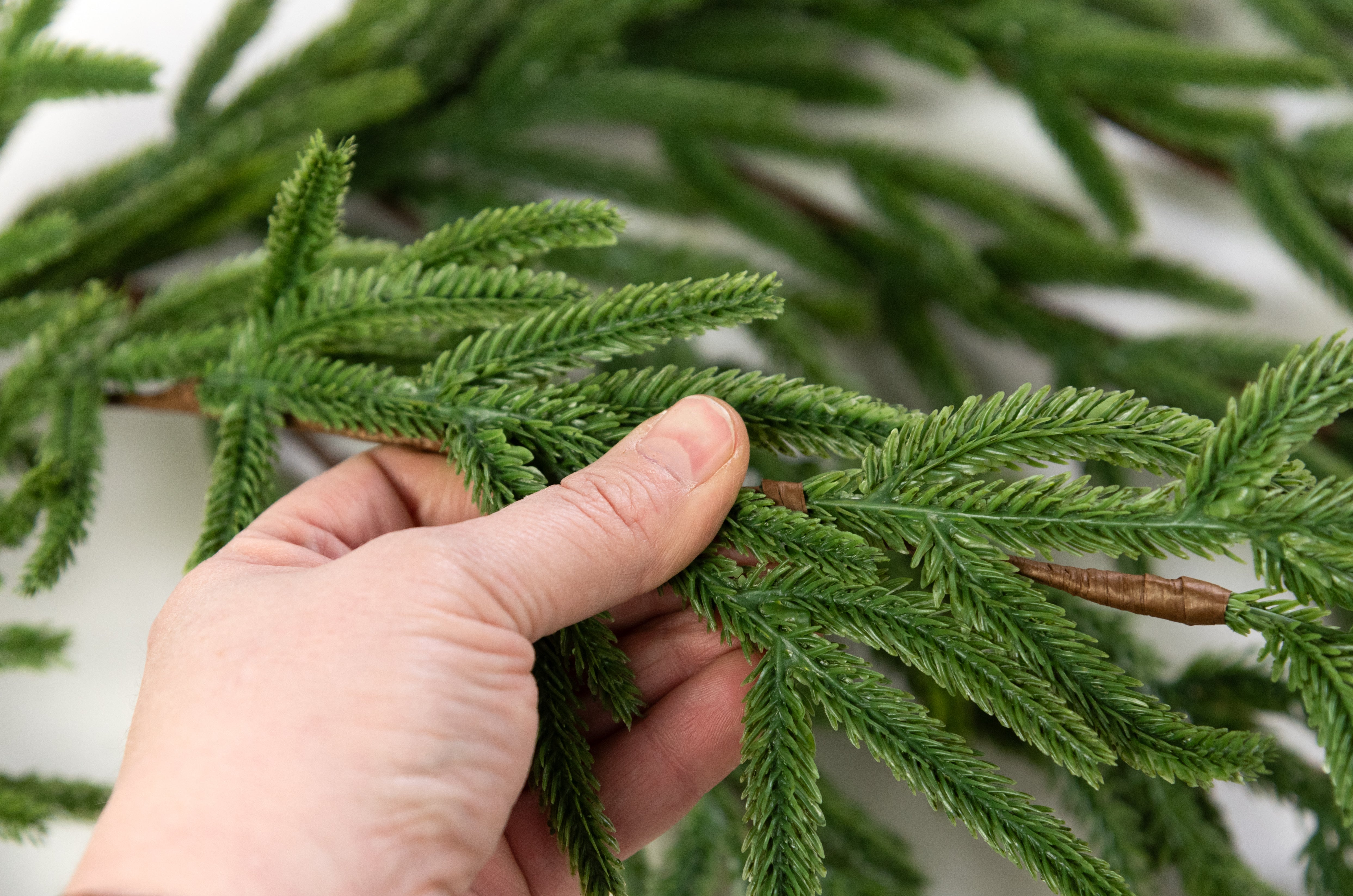 6' Norfolk Island Pine Mantle Garland detail photo 3