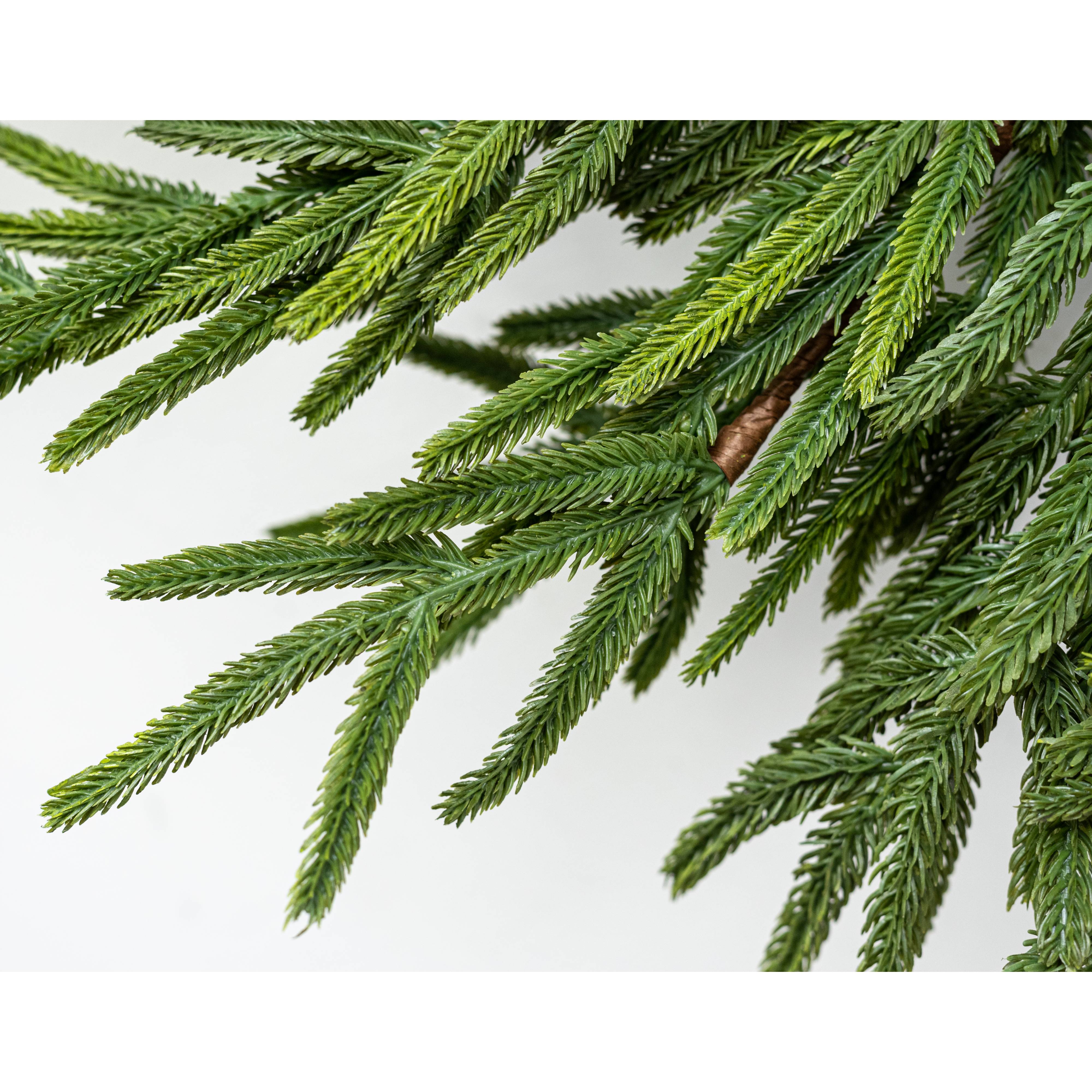 24" Norfolk Island Pine Wreath detail photo 3