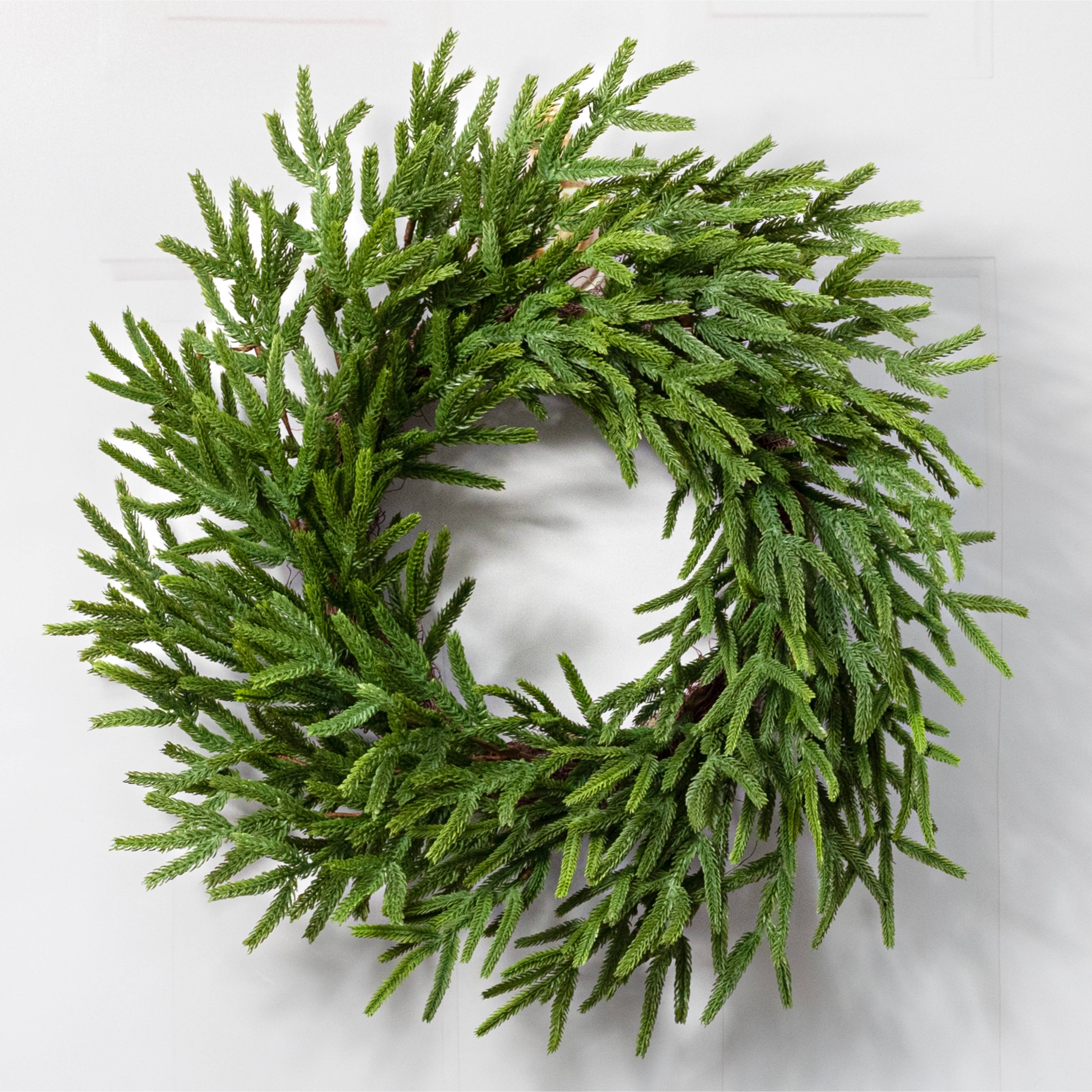 24" Norfolk Island Pine Wreath detail photo 4