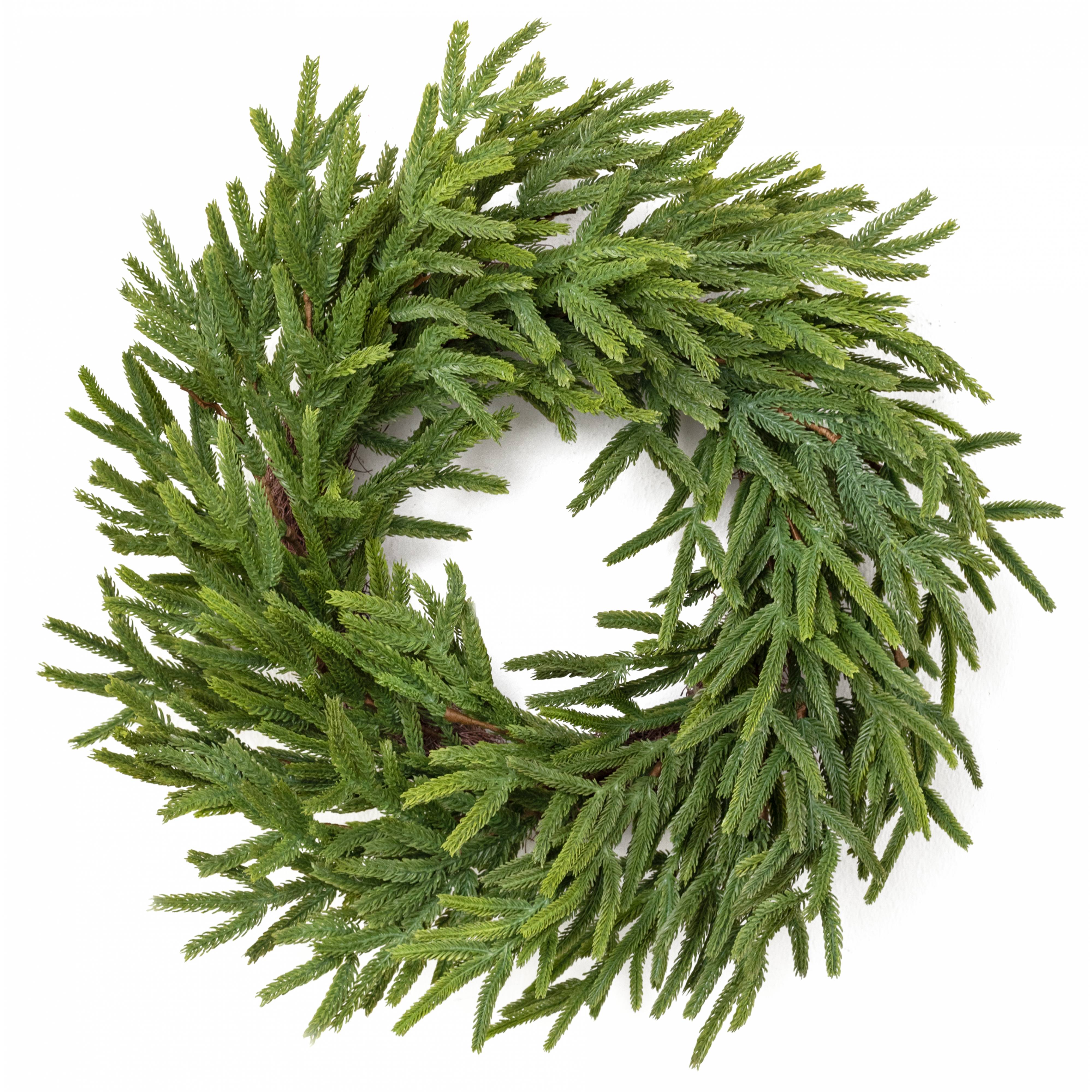 24" Norfolk Island Pine Wreath Item Number: XX9414