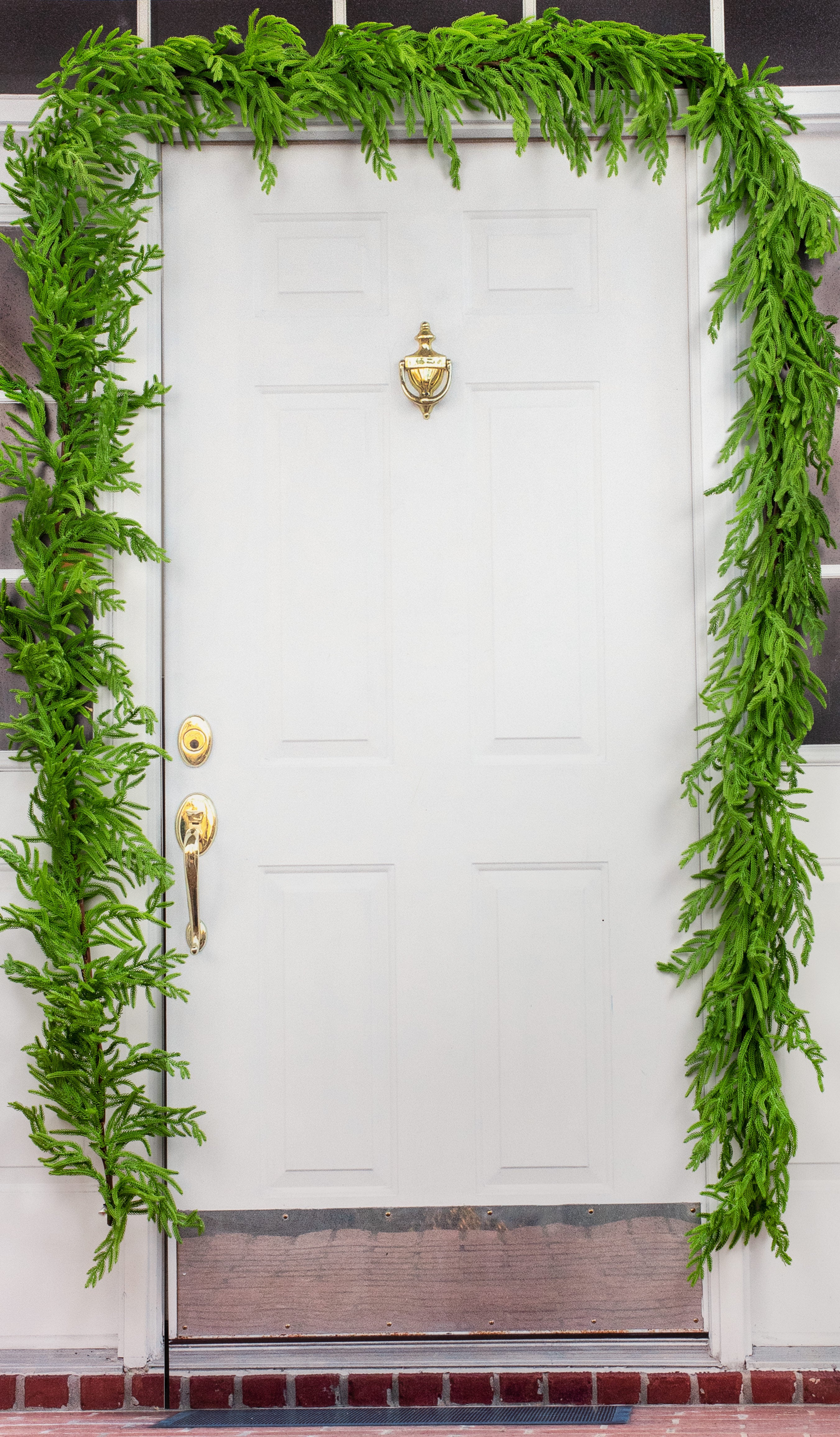 16' Norfolk Pine Garland Lifestyle Photo