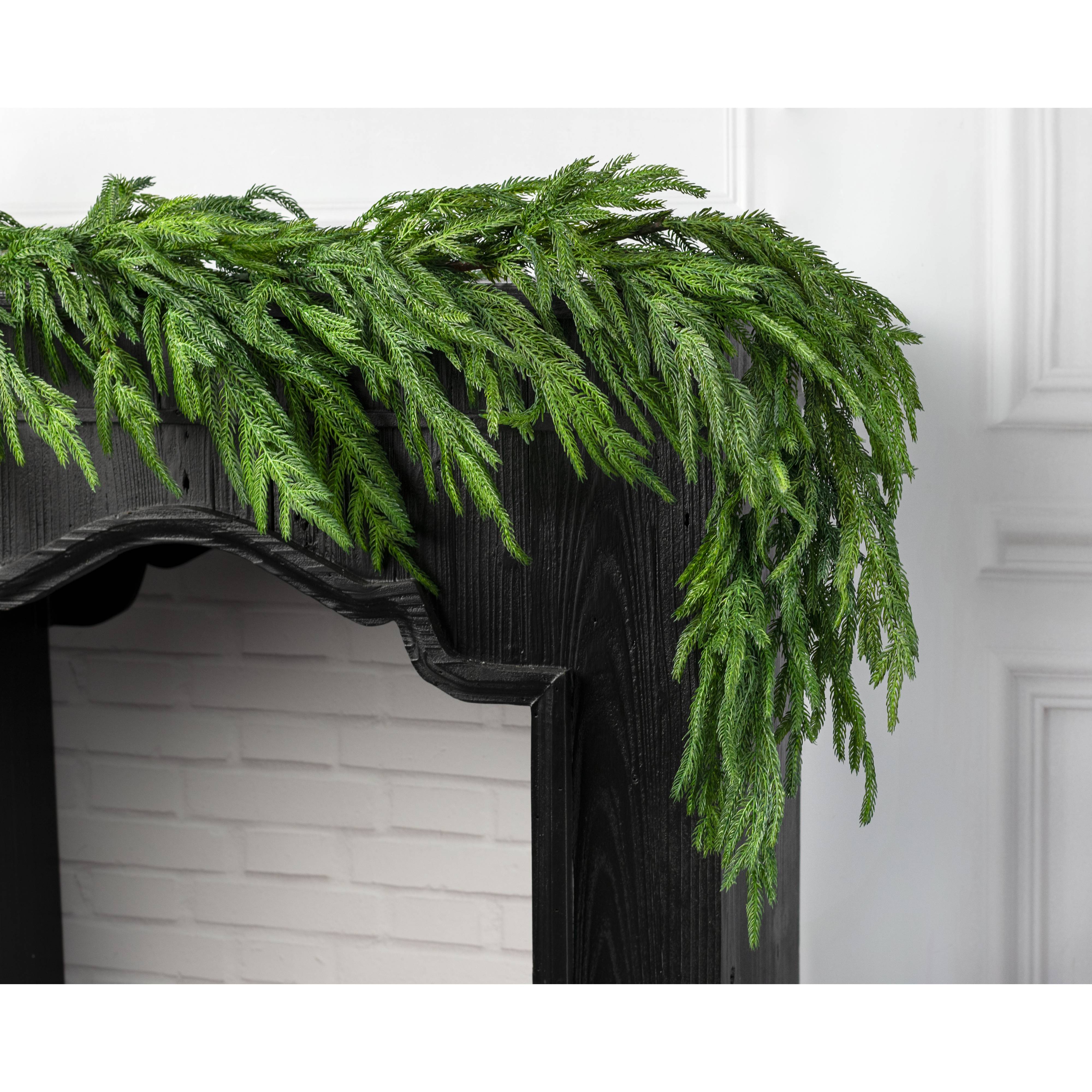 72" Norfolk Pine Garland: Green Lifestyle Photo