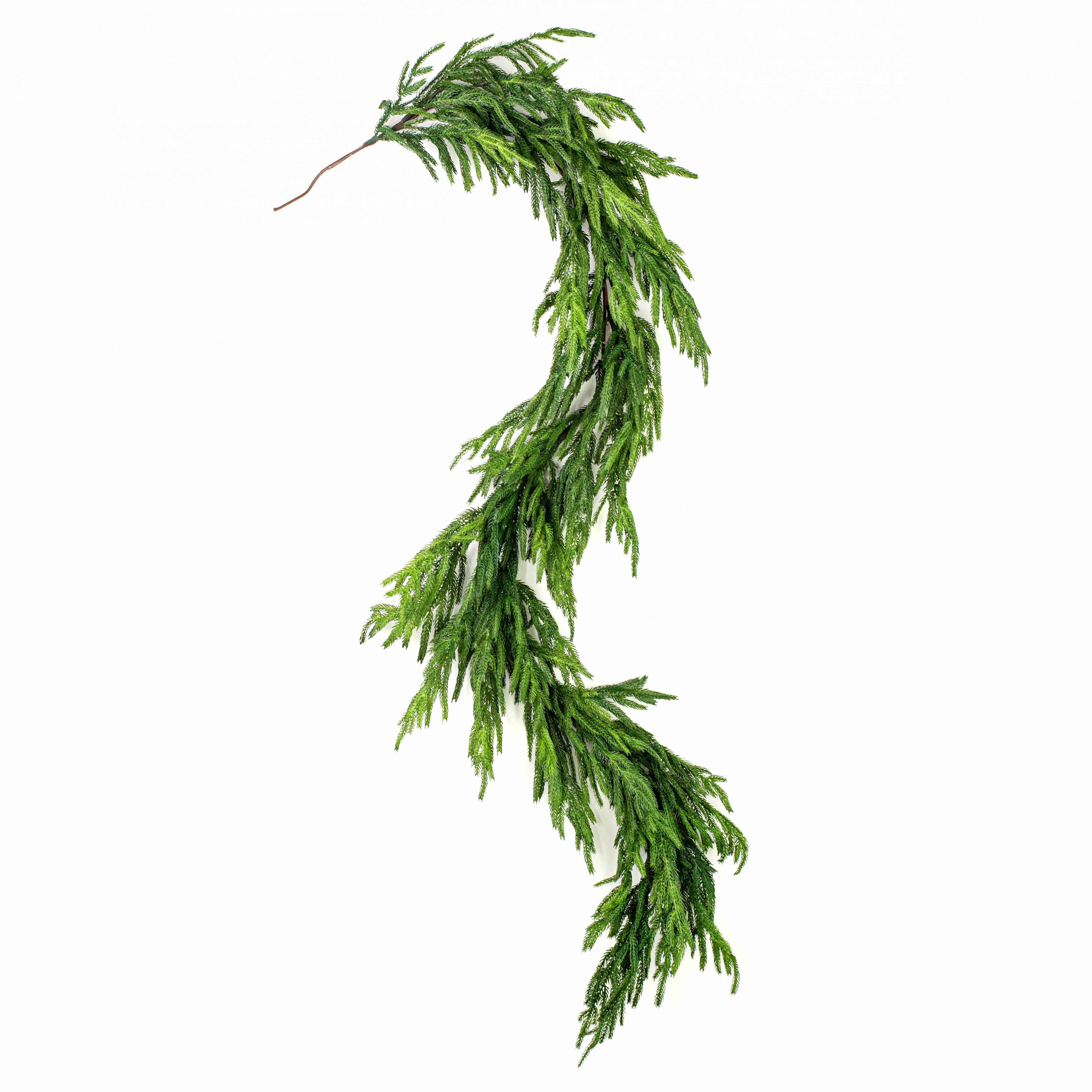 72" Norfolk Pine Garland: Green detail photo 4