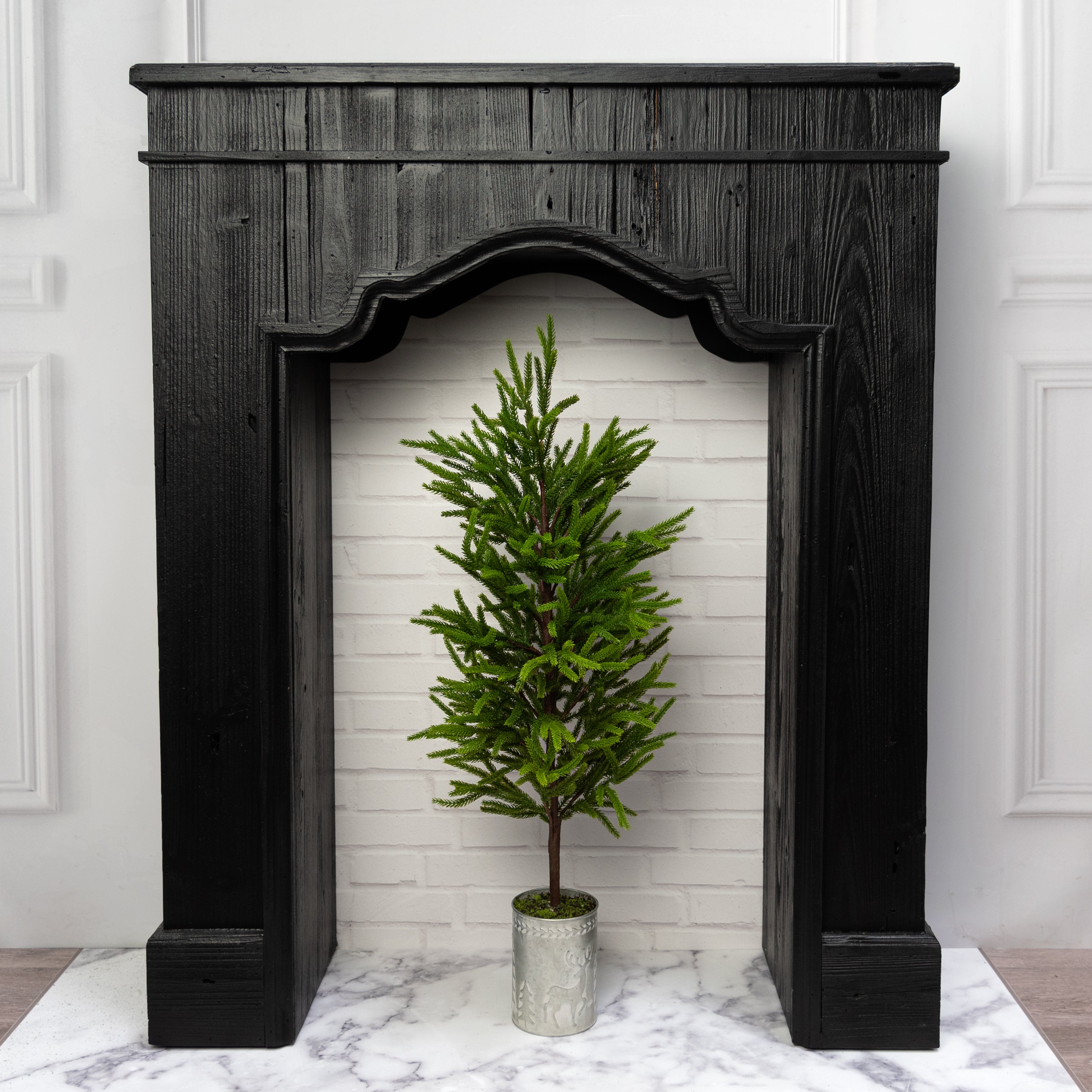 32" Norfolk Pine Potted Tree Lifestyle Photo