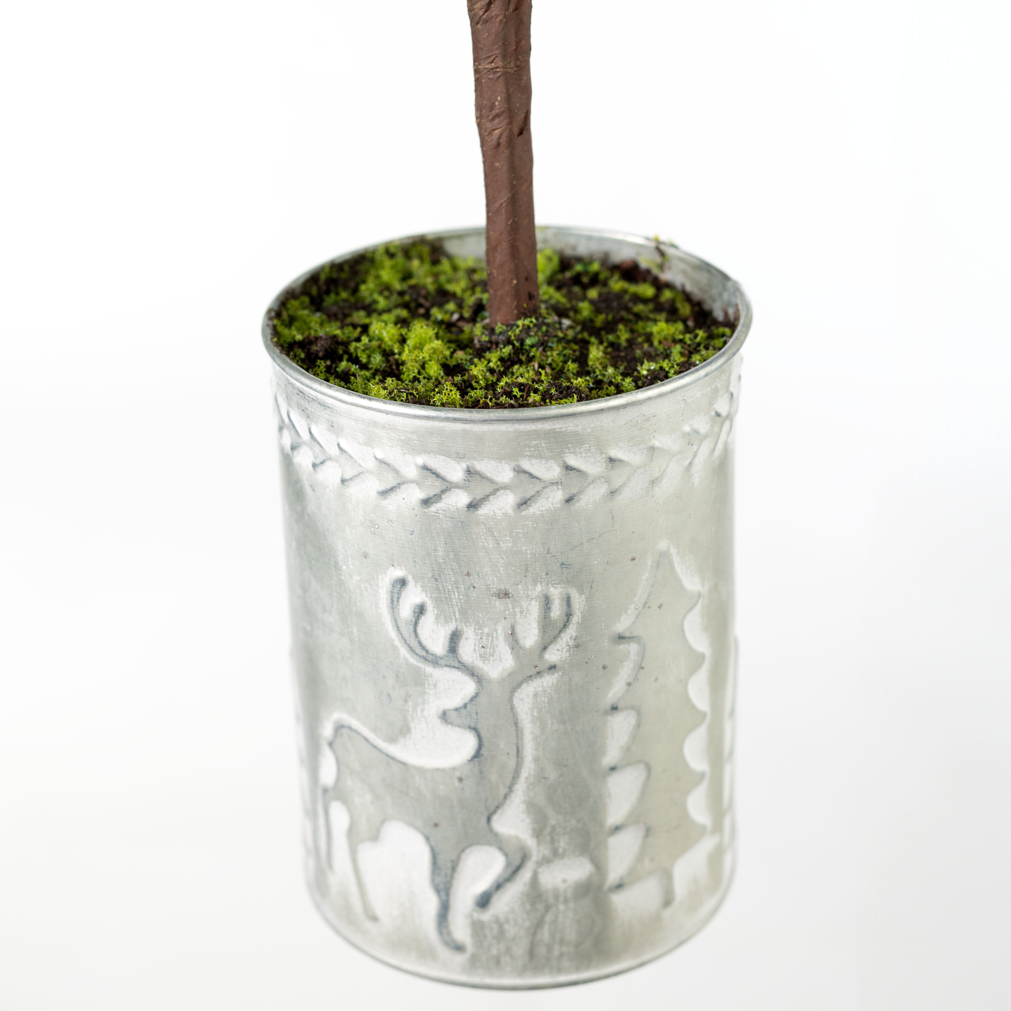 32" Norfolk Pine Potted Tree detail photo 4