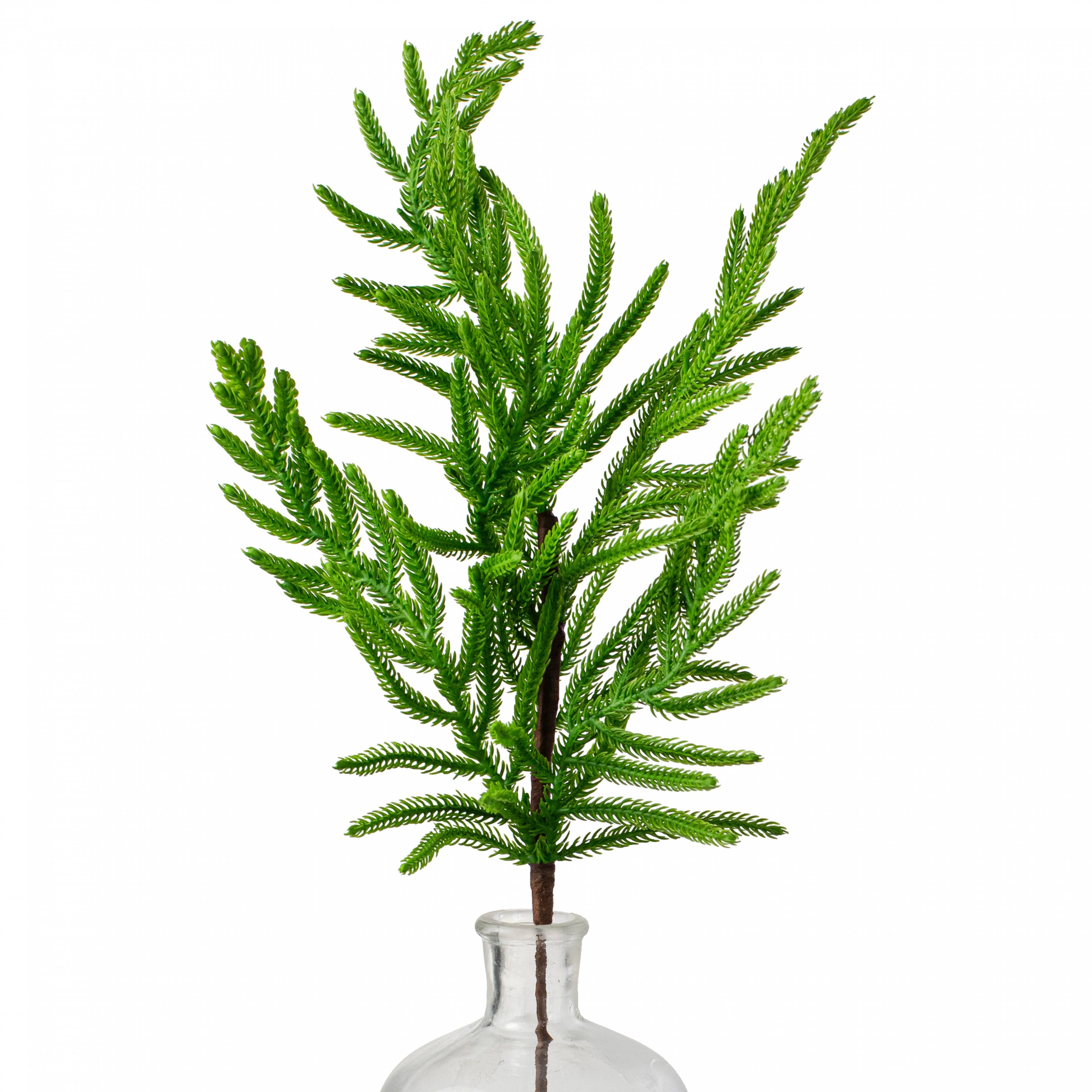 28" Norfolk Pine Spray: Green Item Number: 2830420GR